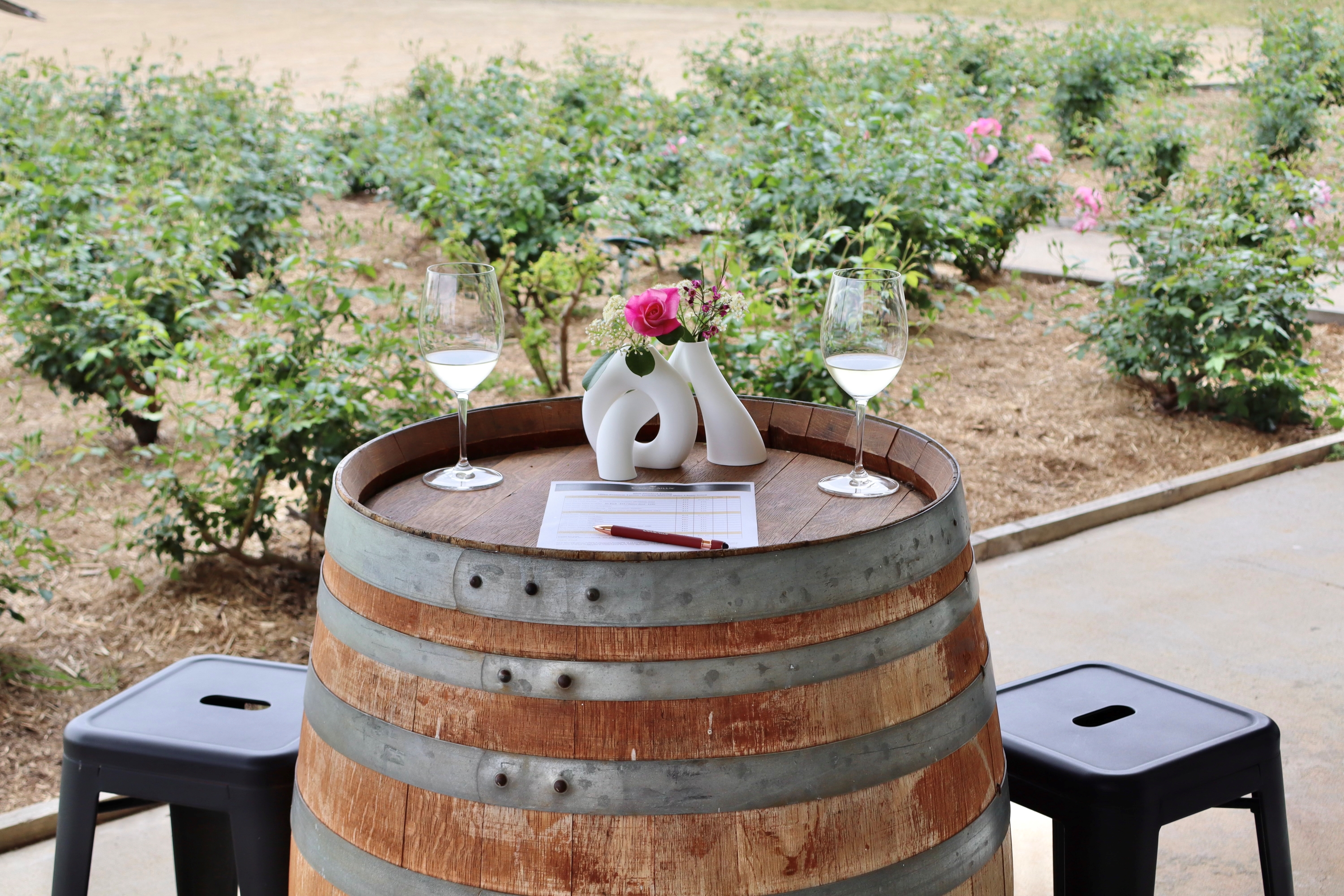 獵人谷卡普凱利酒莊（Capercaillie Wine）品酒體驗