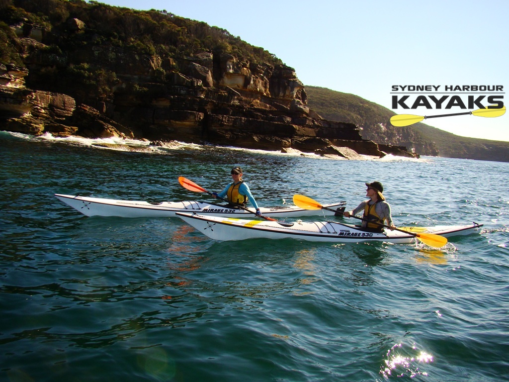 雪梨中港單人獨木舟租借（Sydney Harbour Kayaks 提供）