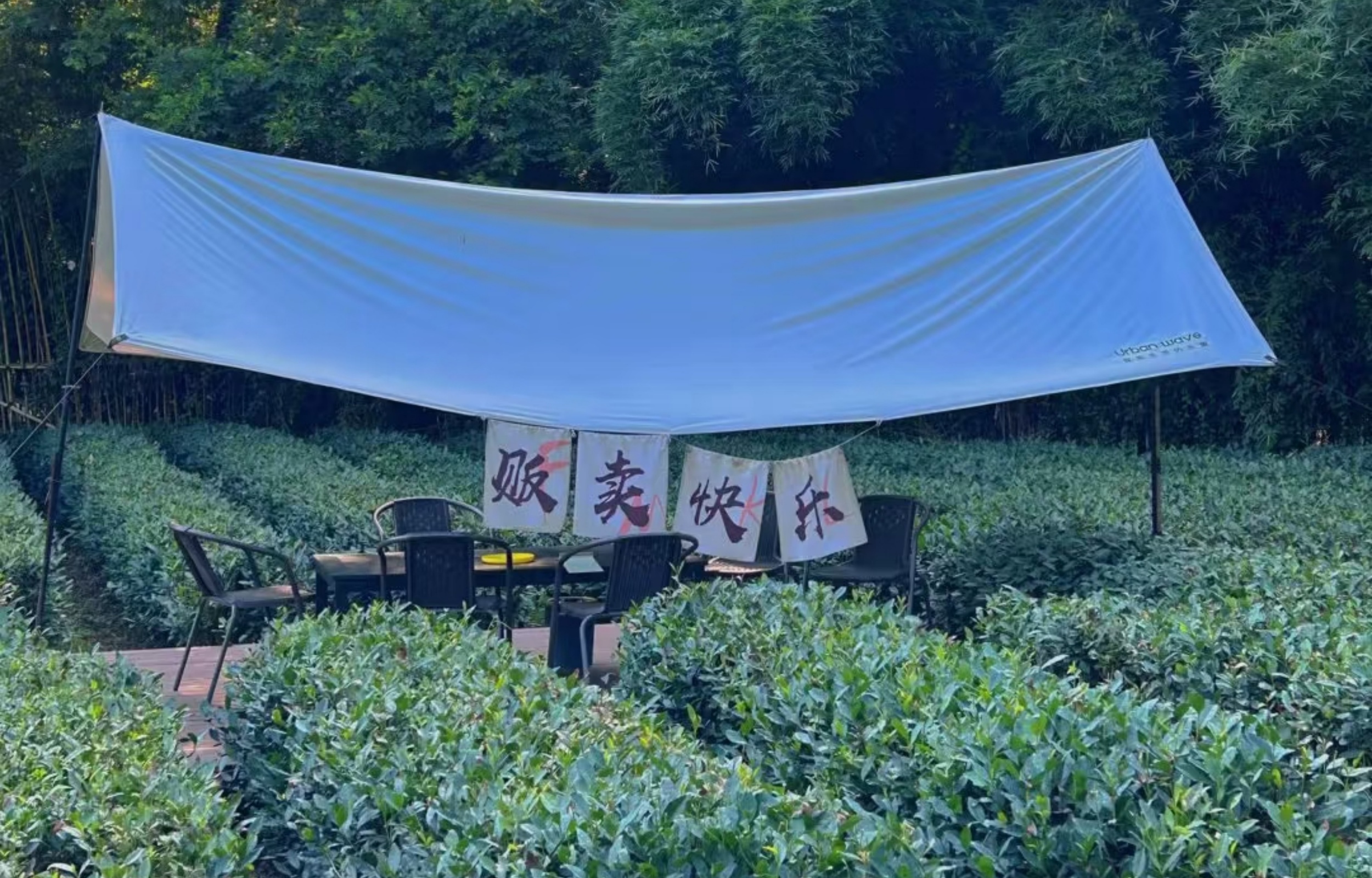 九溪美景 九溪美景