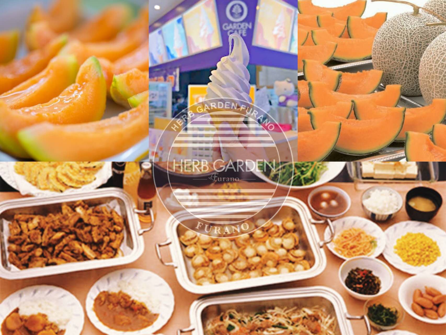 Biei Blue Pond & Furano Flower Day Tour｜Buffet + Melon Feast 