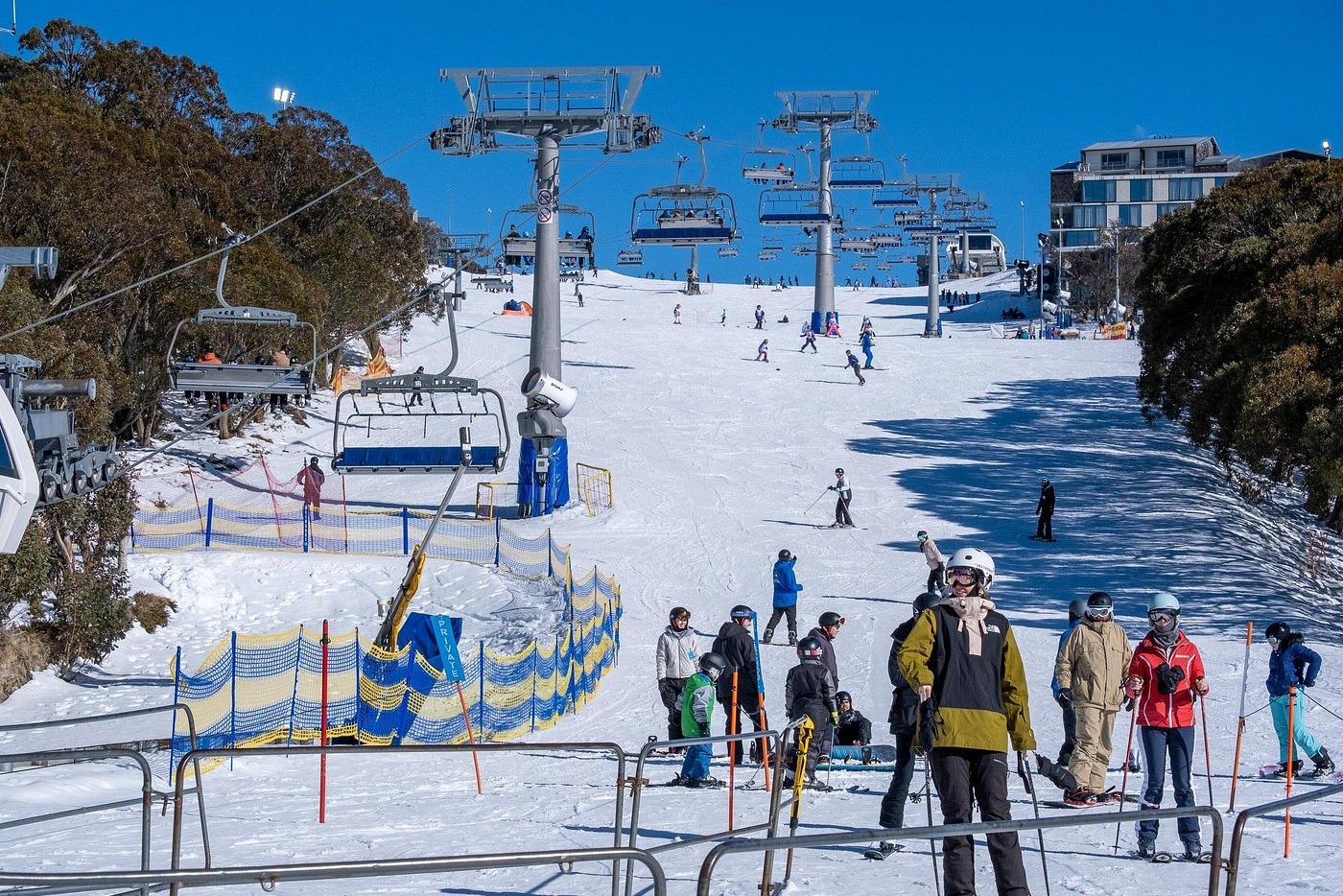 在柔和的冬日陽光下，漫步於白雪覆蓋的小徑，兩旁是掛滿冰霜的樹木