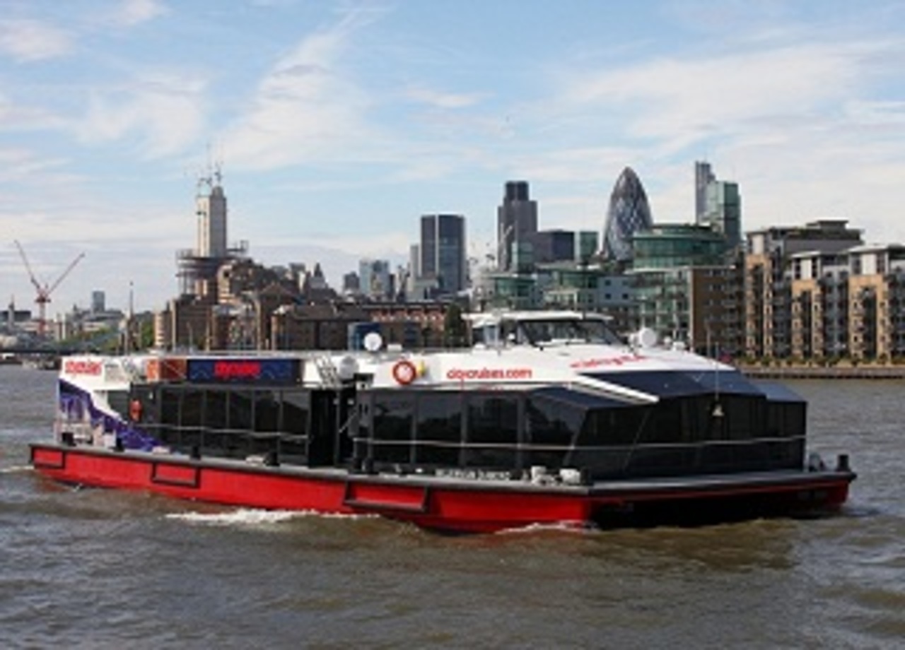 Thames River Cruise &amp; Westminster 3 Hour Walking Tour