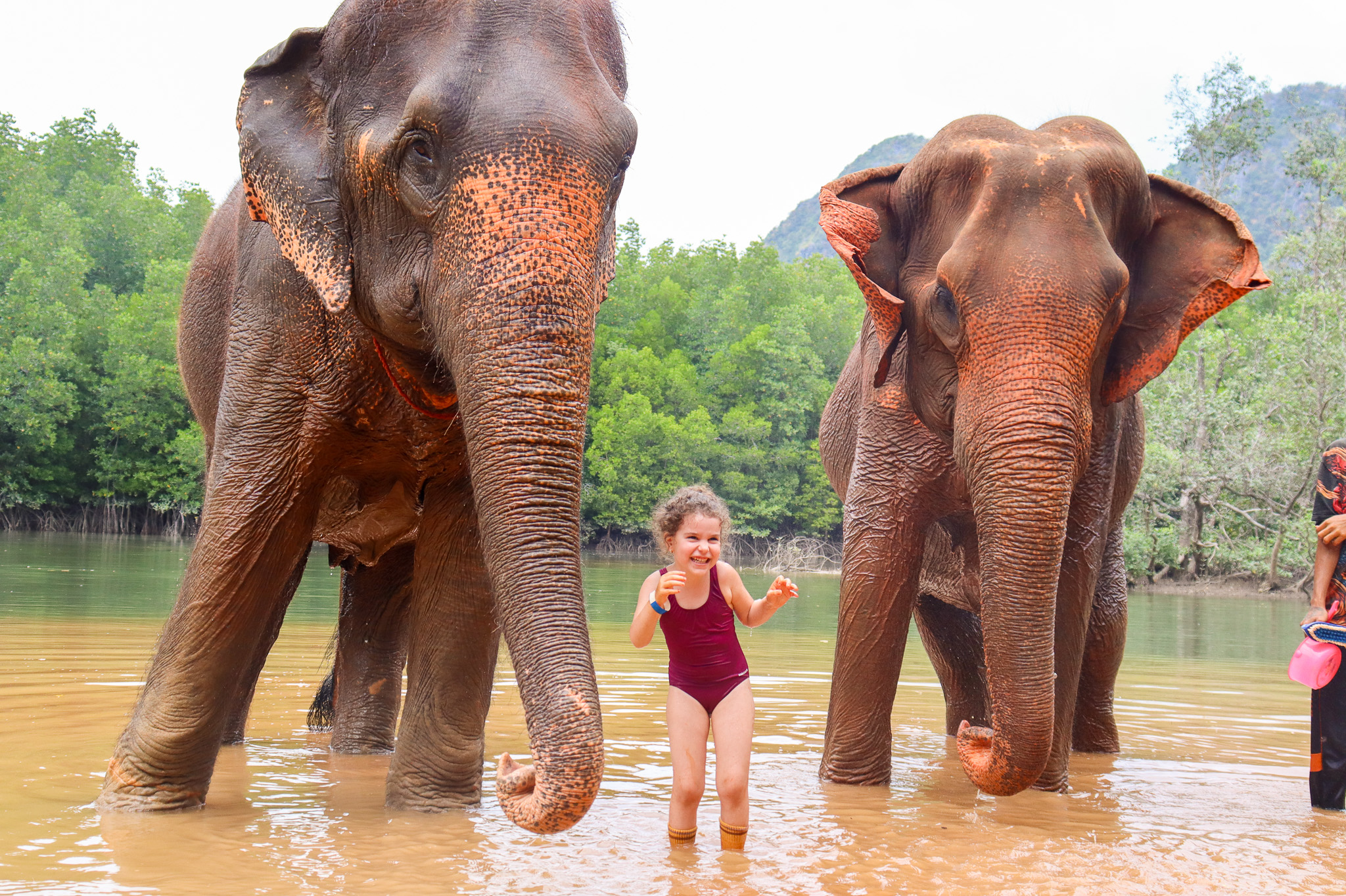 甲米大象保護區（Krabi Elephant Shelter）體驗