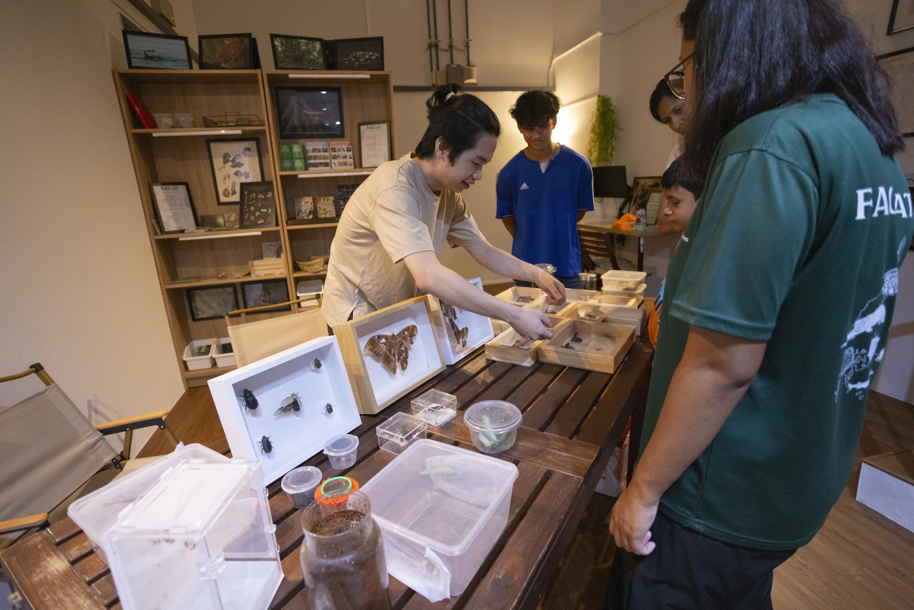 Крылья и Шепоты: Насекомые в природе и фольклоре Сингапура