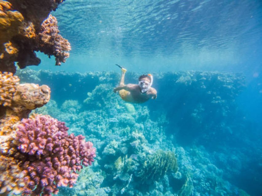 馬卡迪灣浮潛游艇之旅（含水上運動 & 午餐）