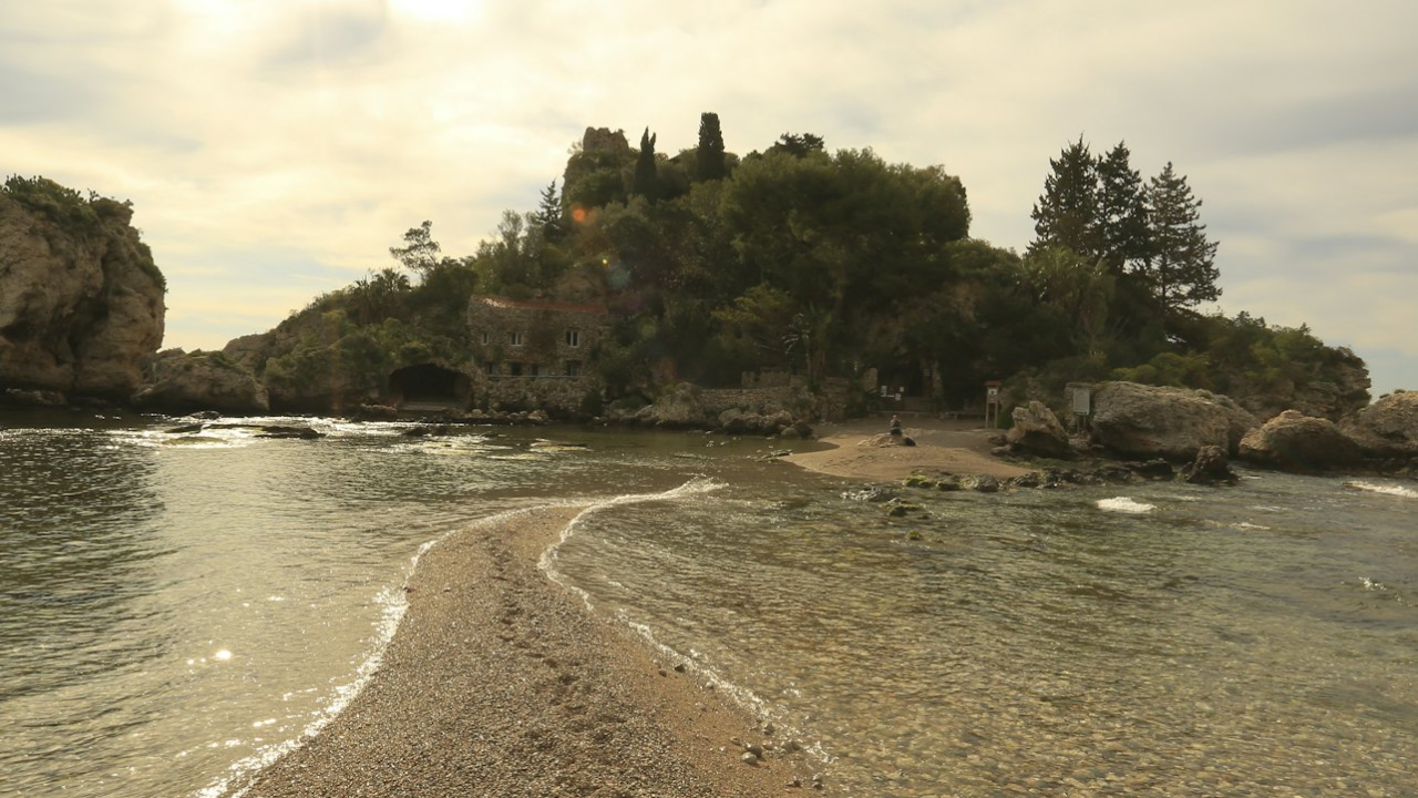 Regional Naturalistic Museum of Isolabella ticket