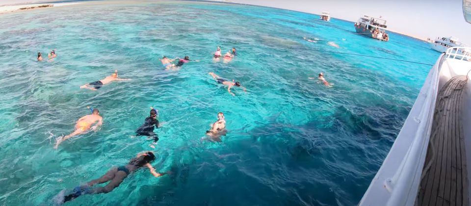 赫爾格達：橘子島潛水與浮潛之旅（含午餐）