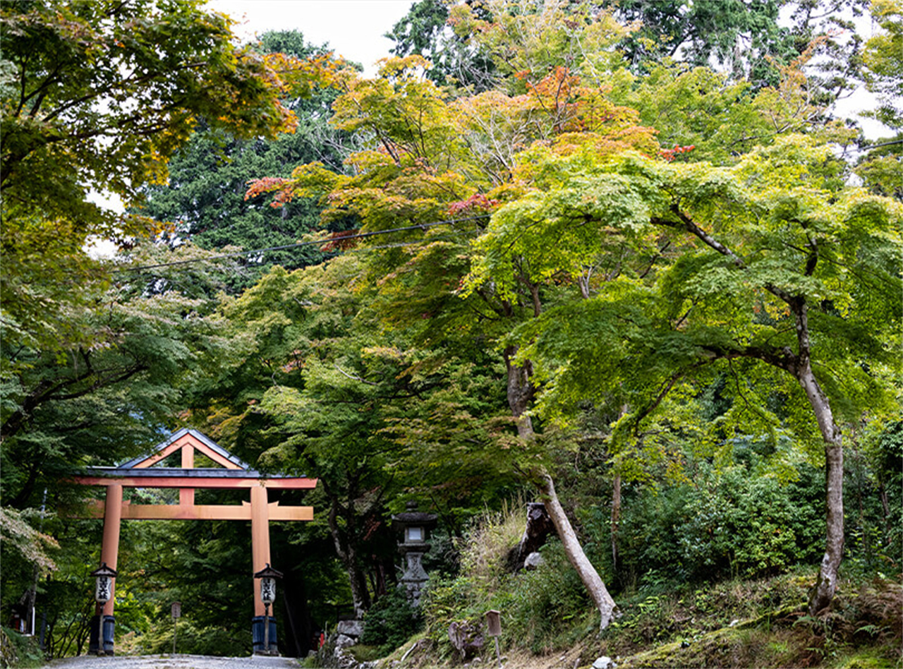 琵琶湖＆白鬚神社＆美秀美術館＆舊竹林院一日遊｜大阪／京都出發