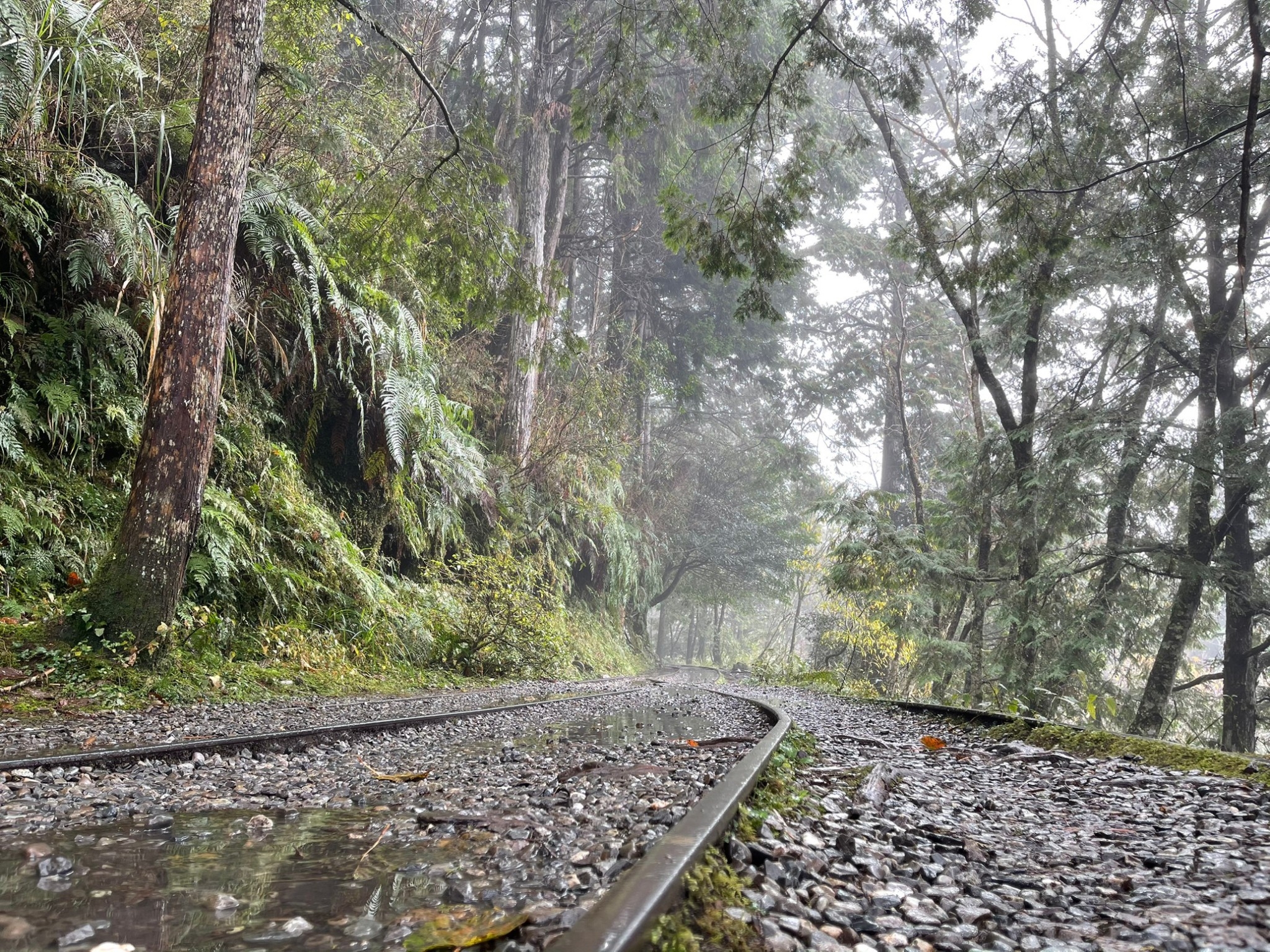 Yilan | Taiping Mountain One Day Tour | Departing from Taipei and Yilan