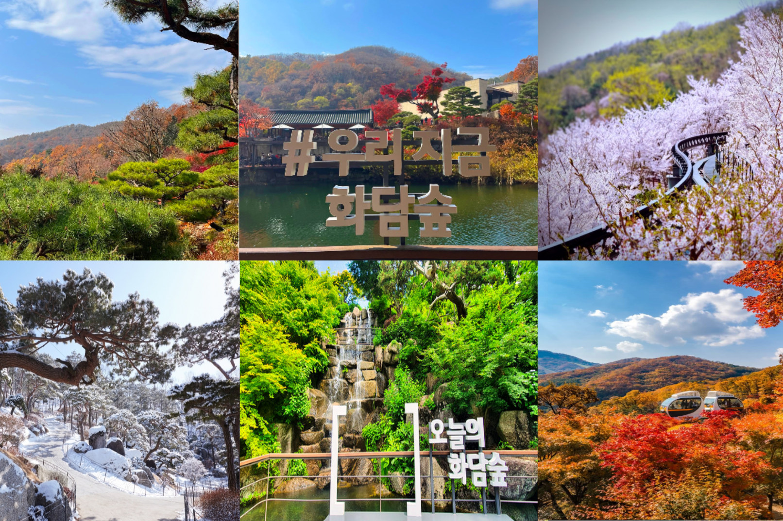 プロヴィジルと過剰摂取