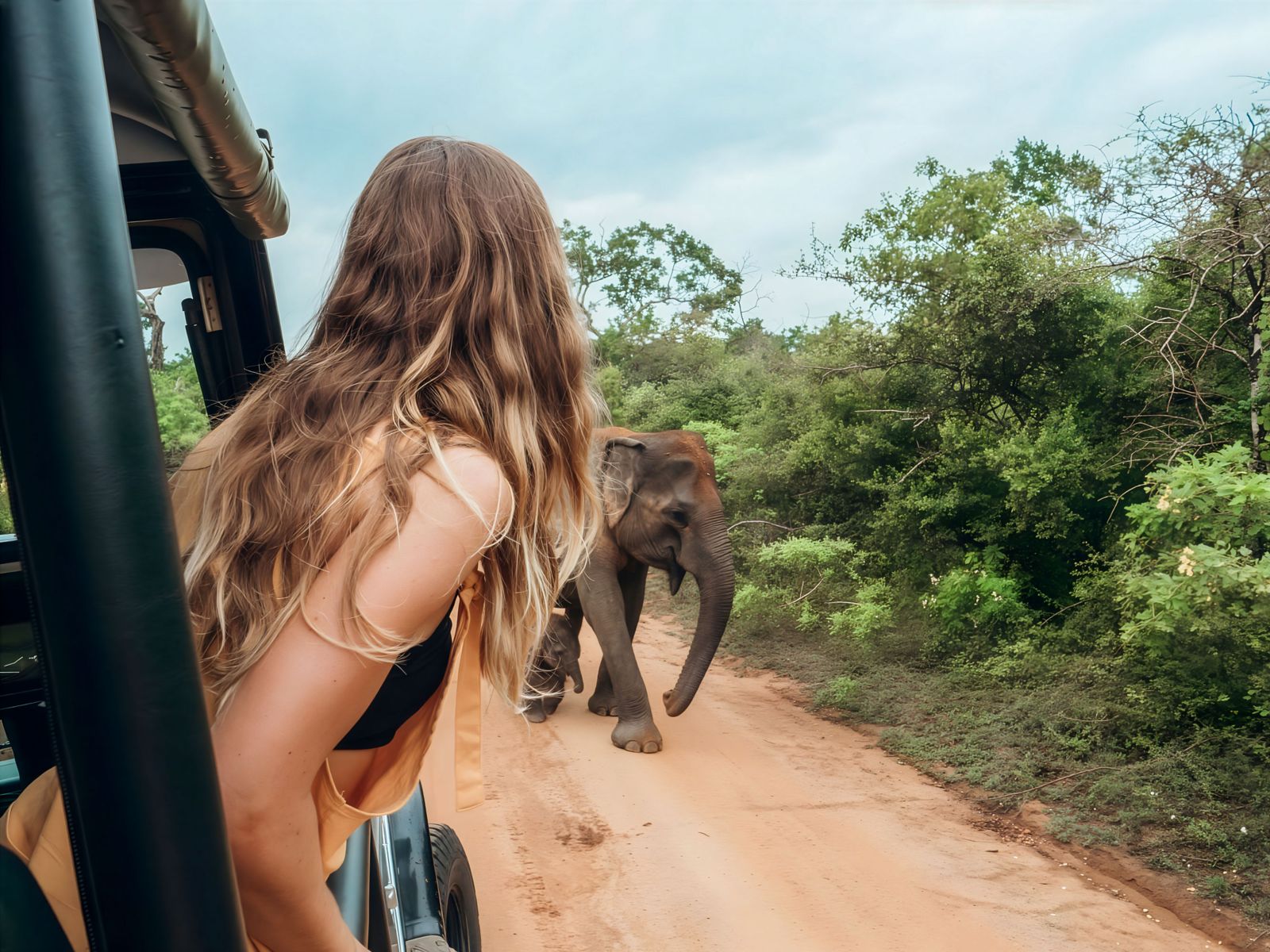 Udawalawe Safari: Private, Shared & Elephant Transit Home Tours