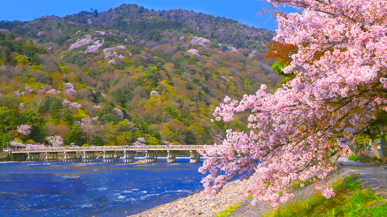 【京都&奈良&嵐山&勝尾寺美景線】嵐山&伏見稻荷大社千本鳥居&奈良公園喂小鹿&勝尾寺看小達摩一日遊|大阪出發
