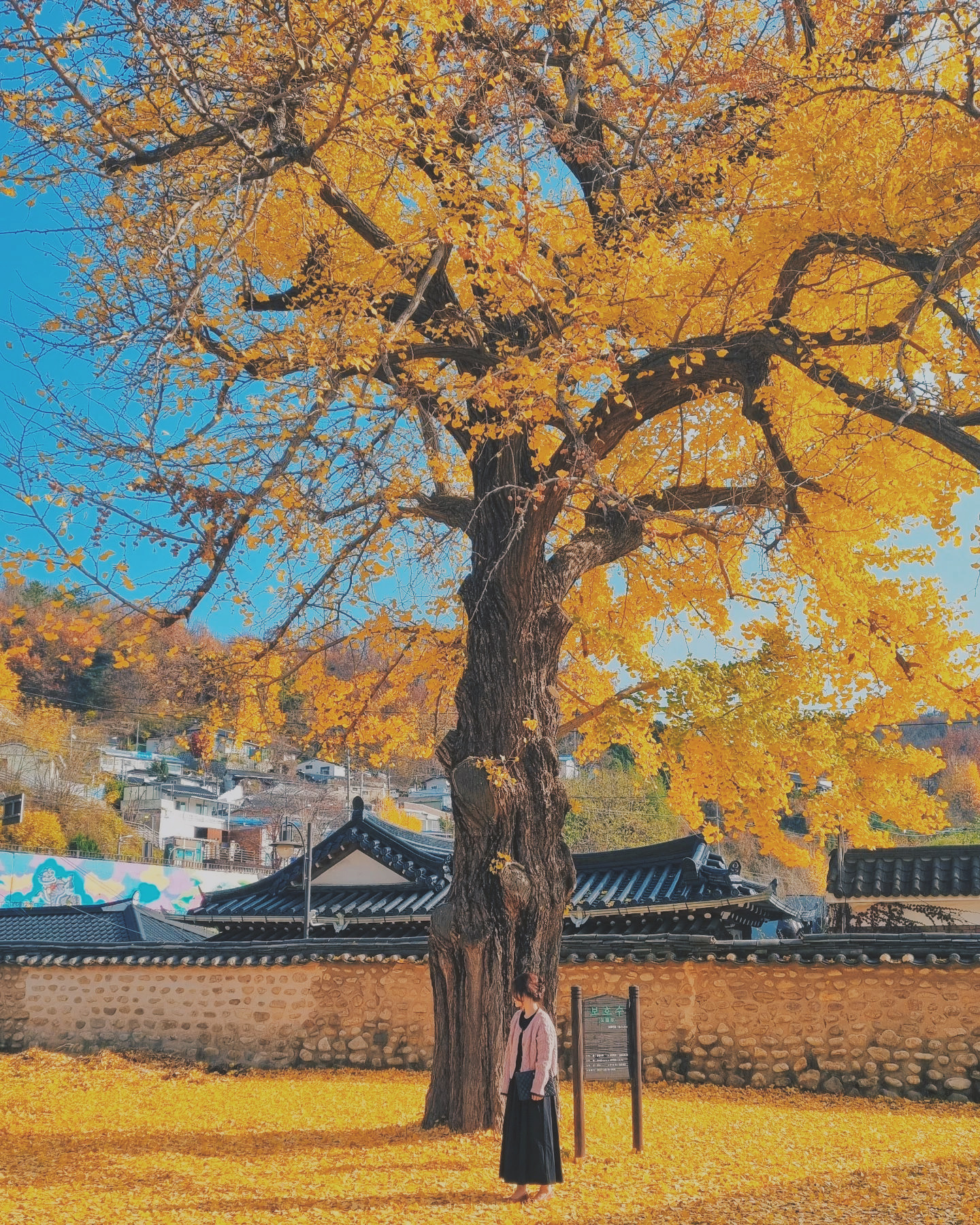 全州韓屋村＆季節性熱門景點一日遊