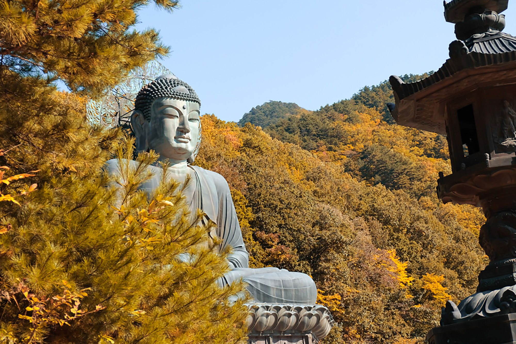 盡情呼吸雪嶽山之美——雄偉山峰、鮮豔森林與寧靜步道，等您來探索冒險。