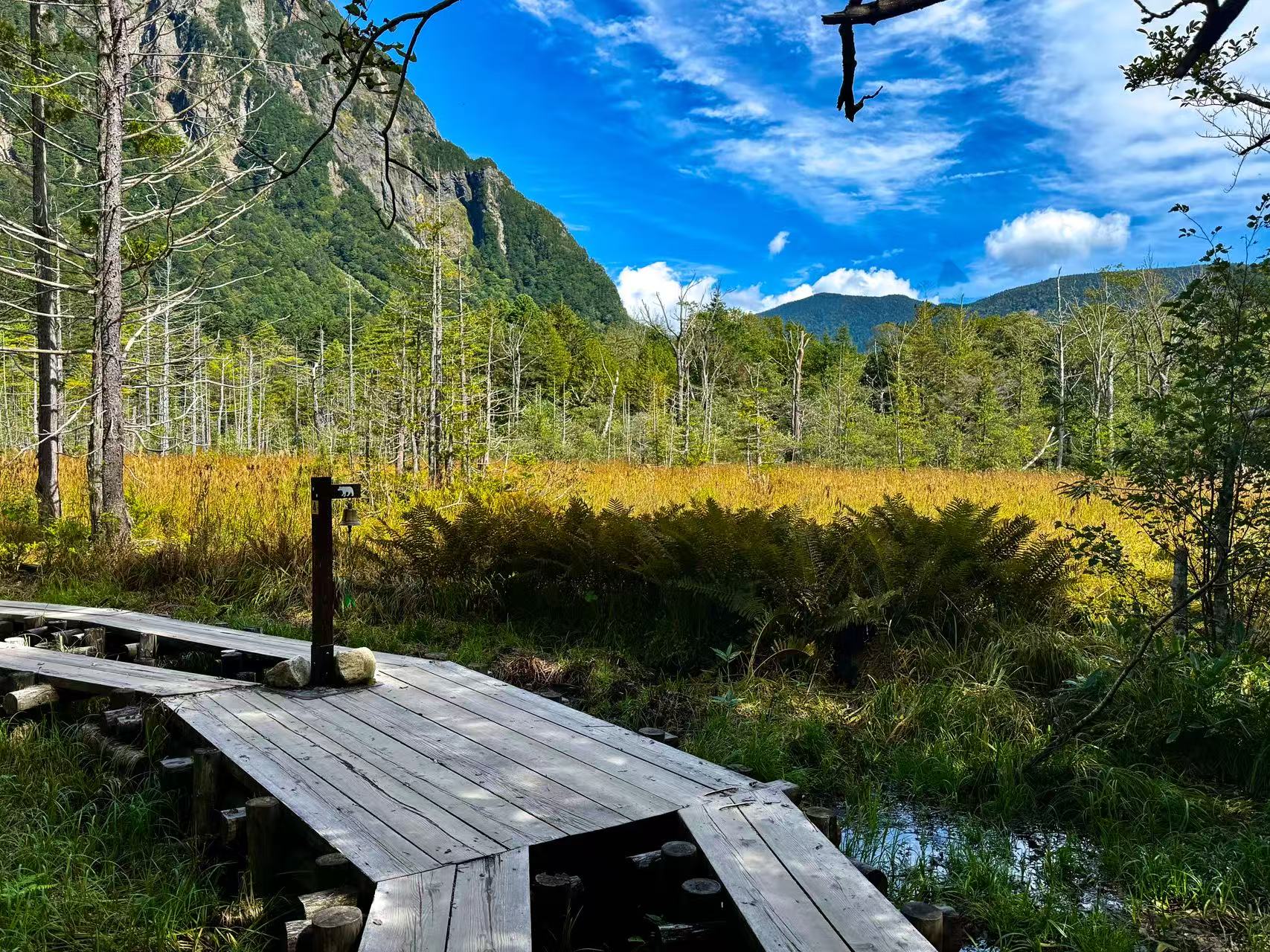 岳澤濕原(明神池方向) 岳澤濕原(明神池方向)