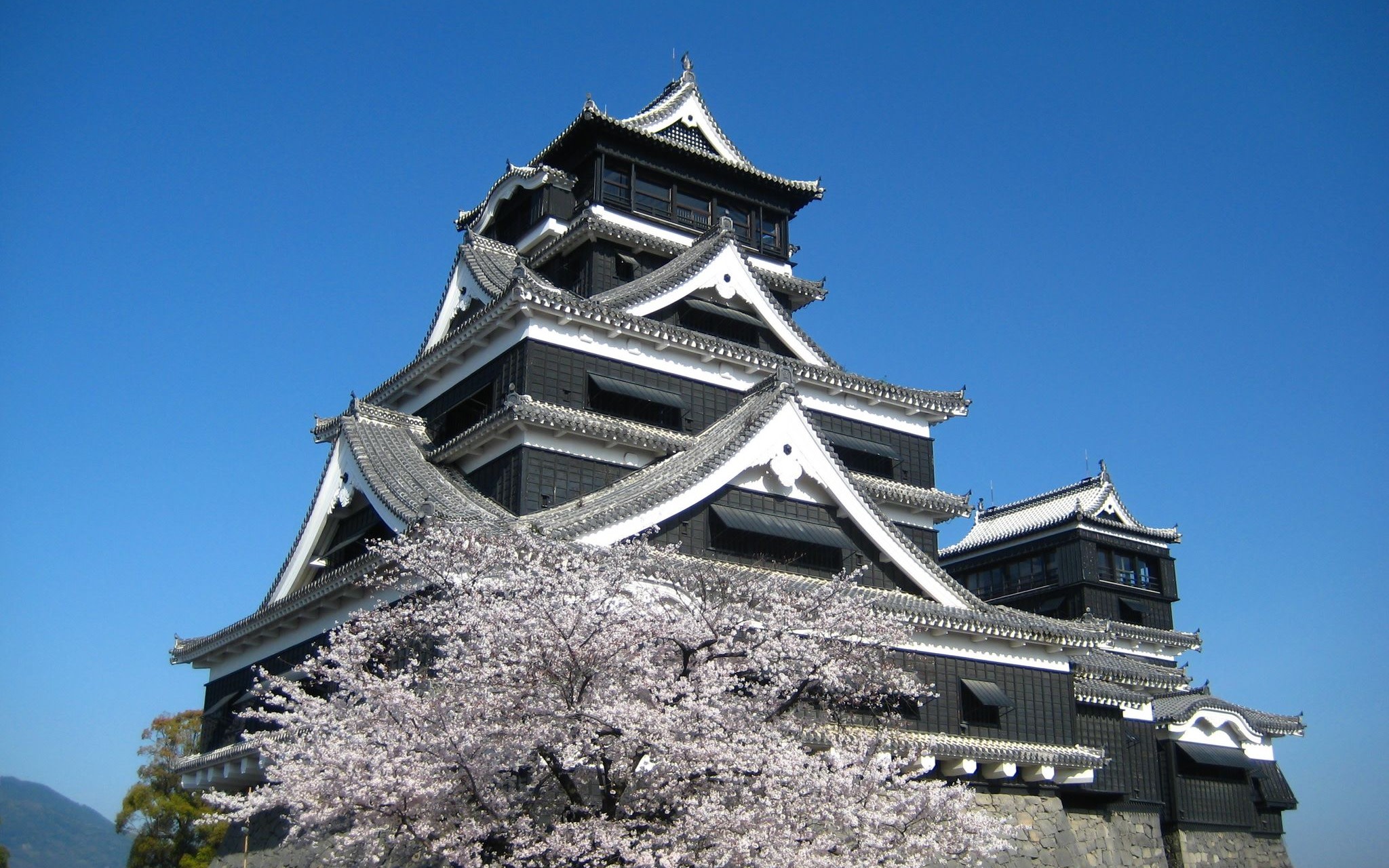Kumamoto Castle & Suizenji Jojuen Garden Half-Day Sightseeing