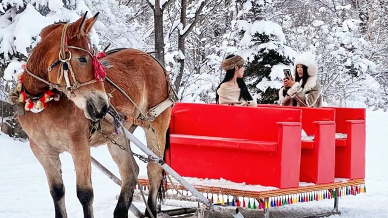 Yabuli New Sports Committee Full-Day Small Group Skiing Experience