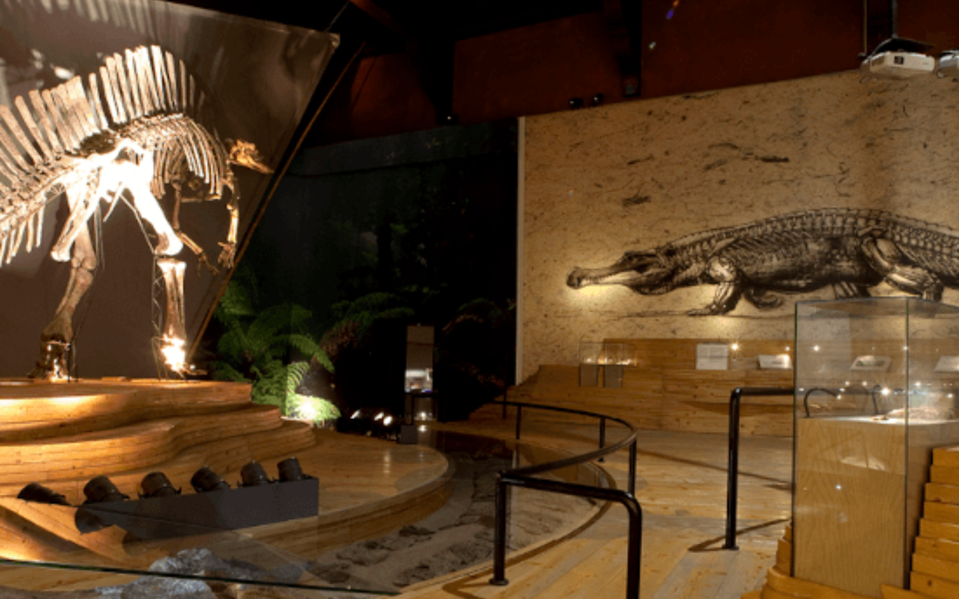 Stumble upon displays of dinosaurs and prehistoric crocodiles and learn about the extinct species