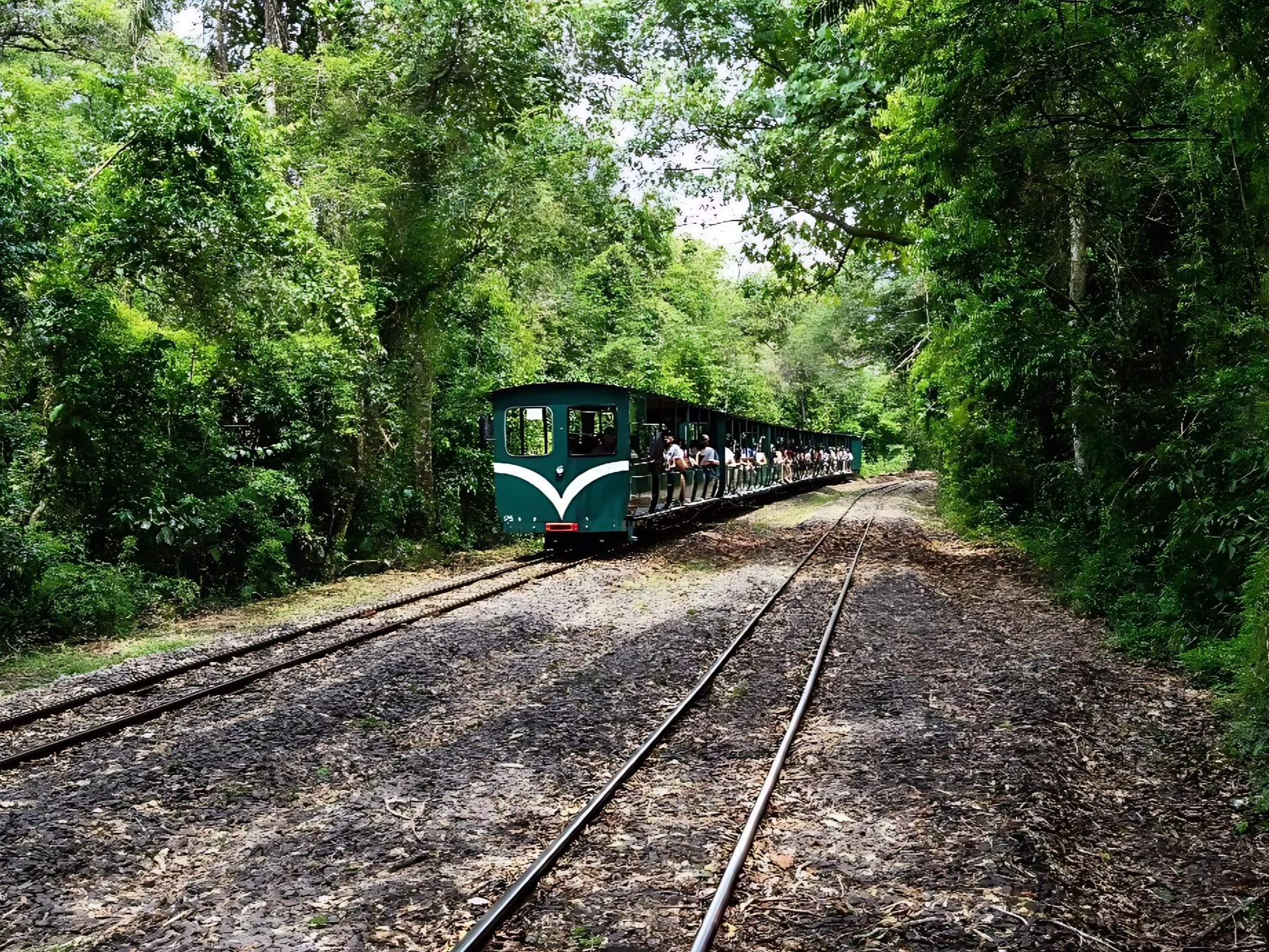 Image 5