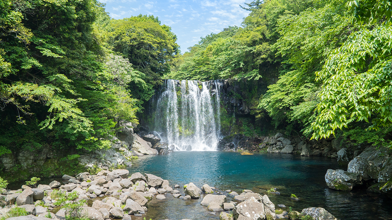 探索濟州最寧靜的山谷之一,碧綠溪水潺潺流淌,美不勝收。 探索濟州最寧靜的山谷之一,碧綠溪水潺潺流淌,美不勝收。