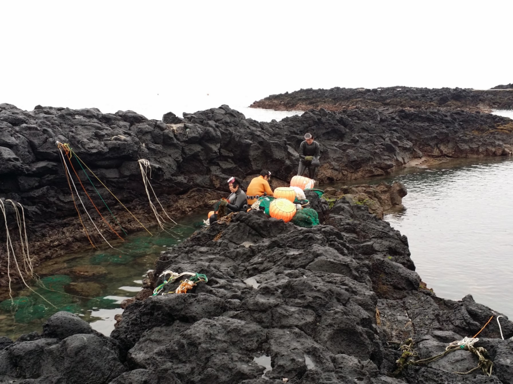 Jeju's Eastern Euphoria One Day Tour with Seongsan ilchulbong, Cave