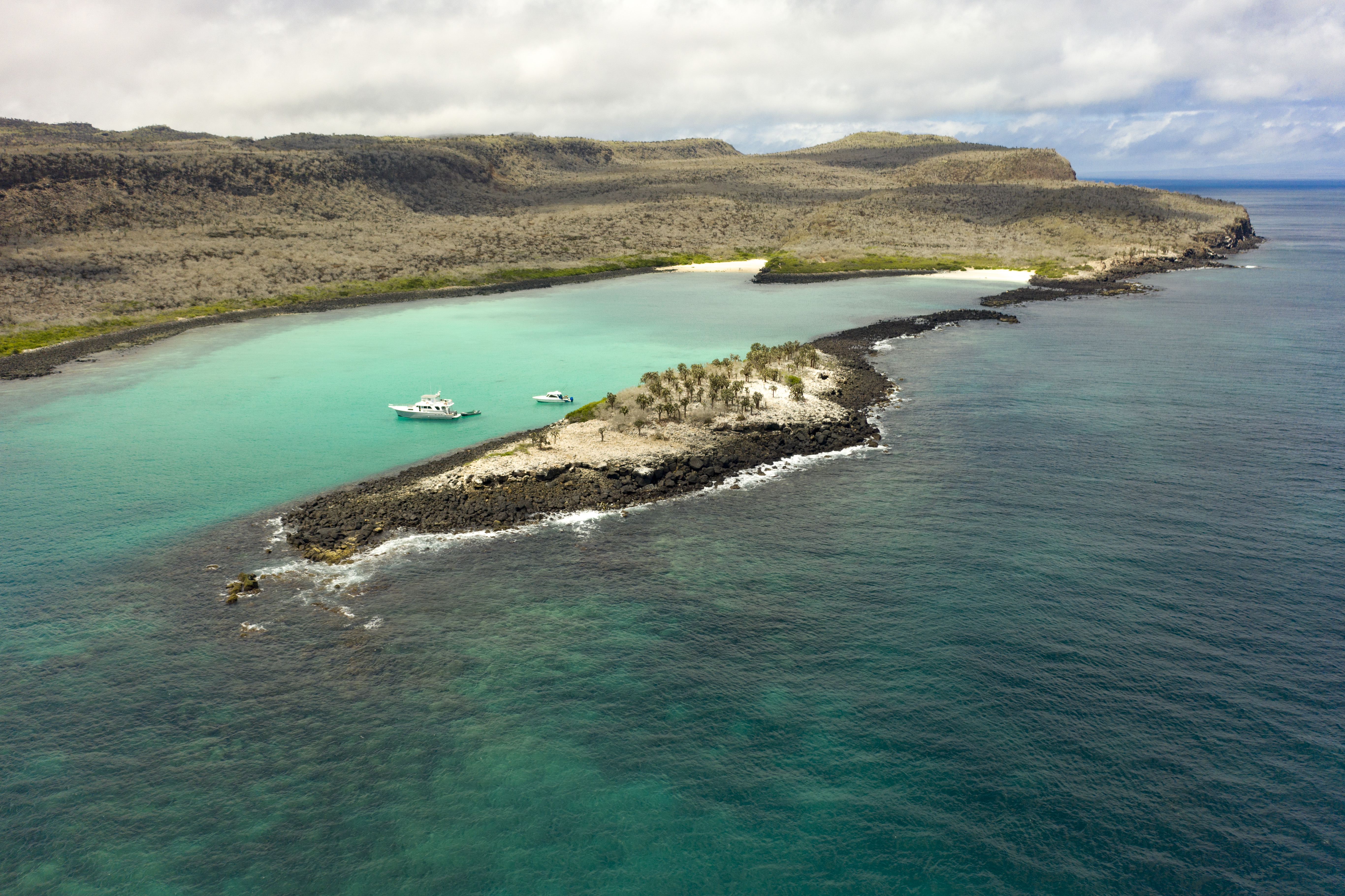 Galapagos Snorkelling Extravaganza: Full-Day Trip with PADI 5*Center