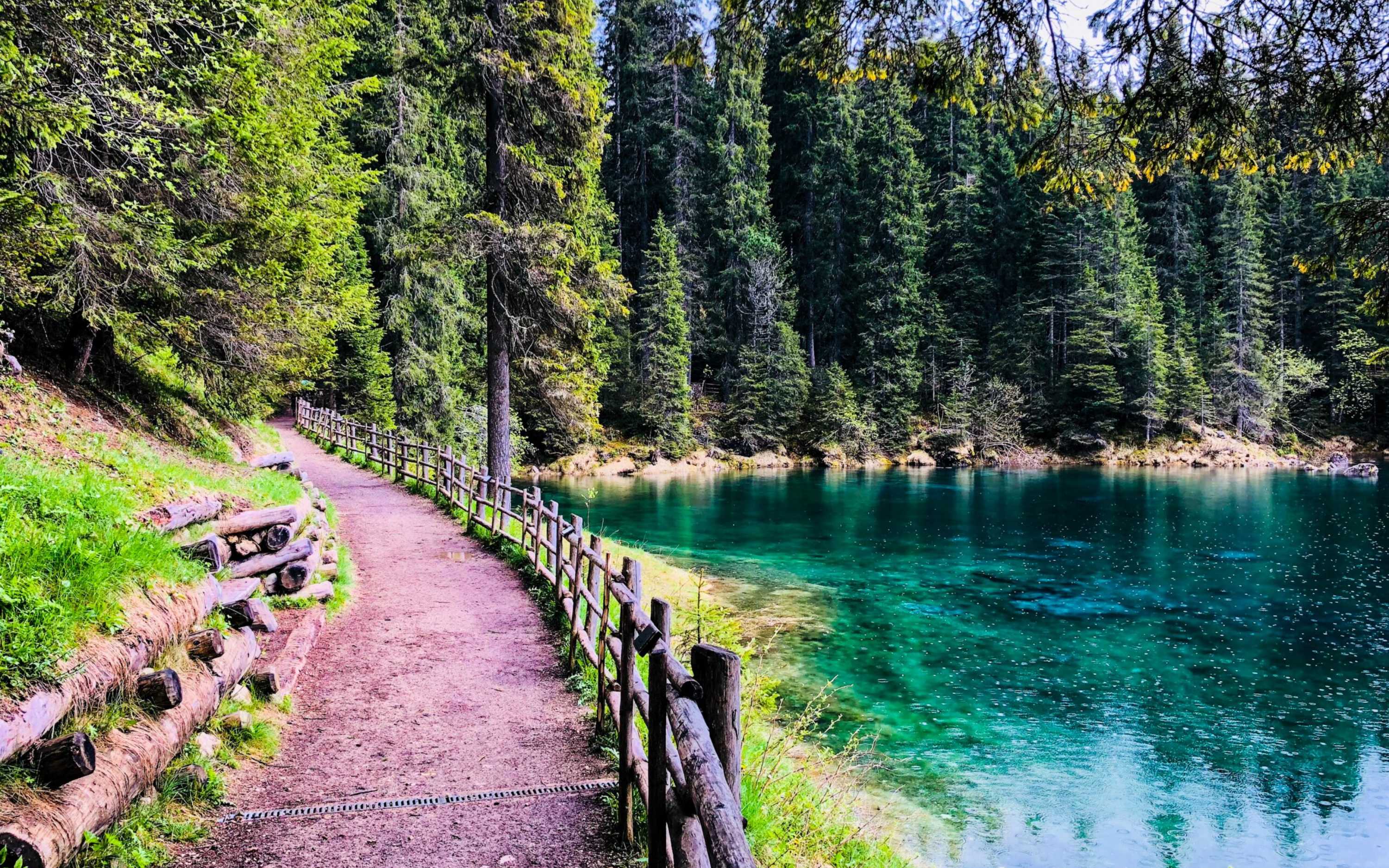 Wind trails through lush forests lead deep into the scenic Sierra wilderness Wind trails through lush forests lead deep into the scenic Sierra wilderness