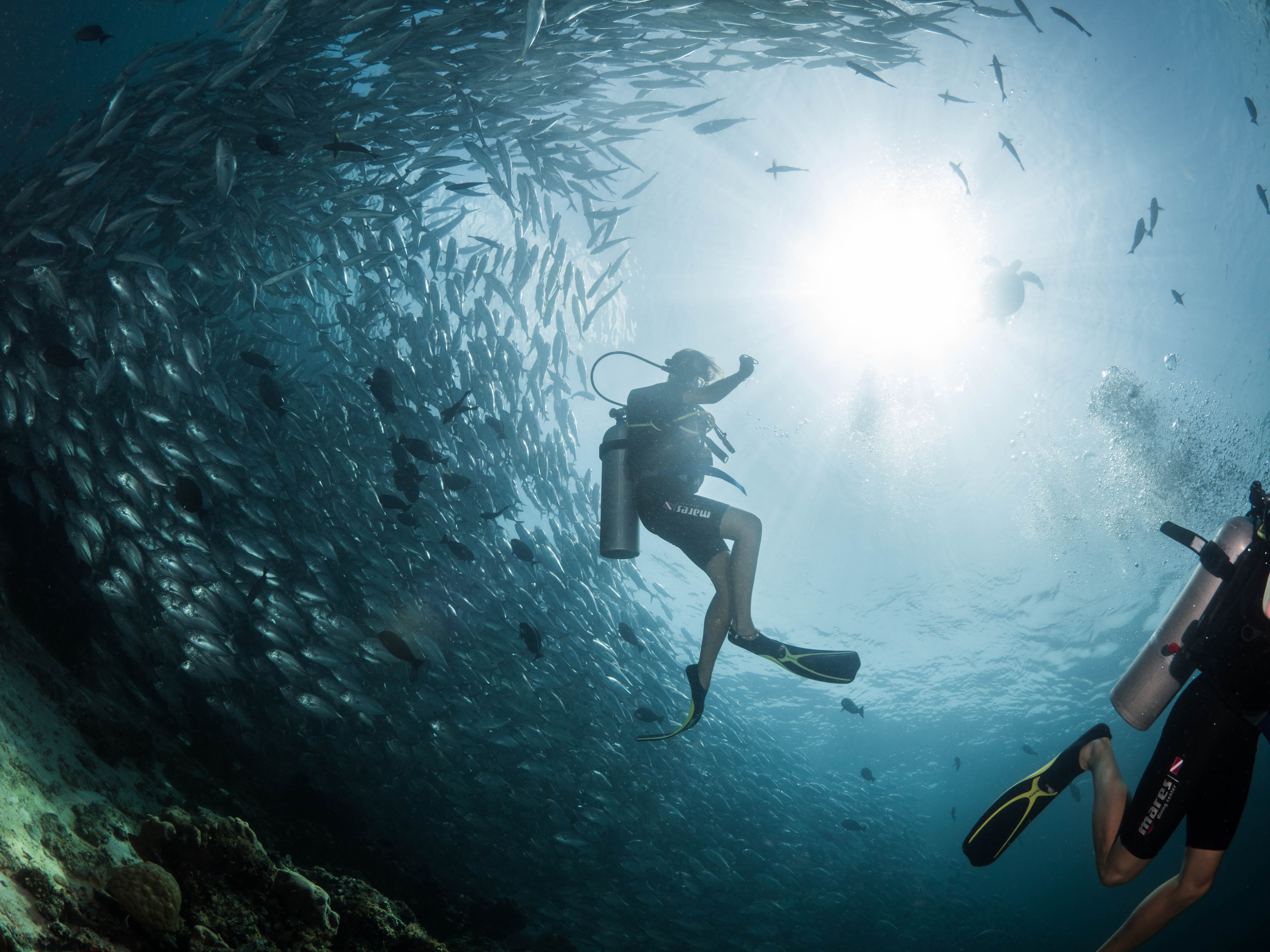 Sipadan Fundive Day Trip with PADI 5 Star Dive Center