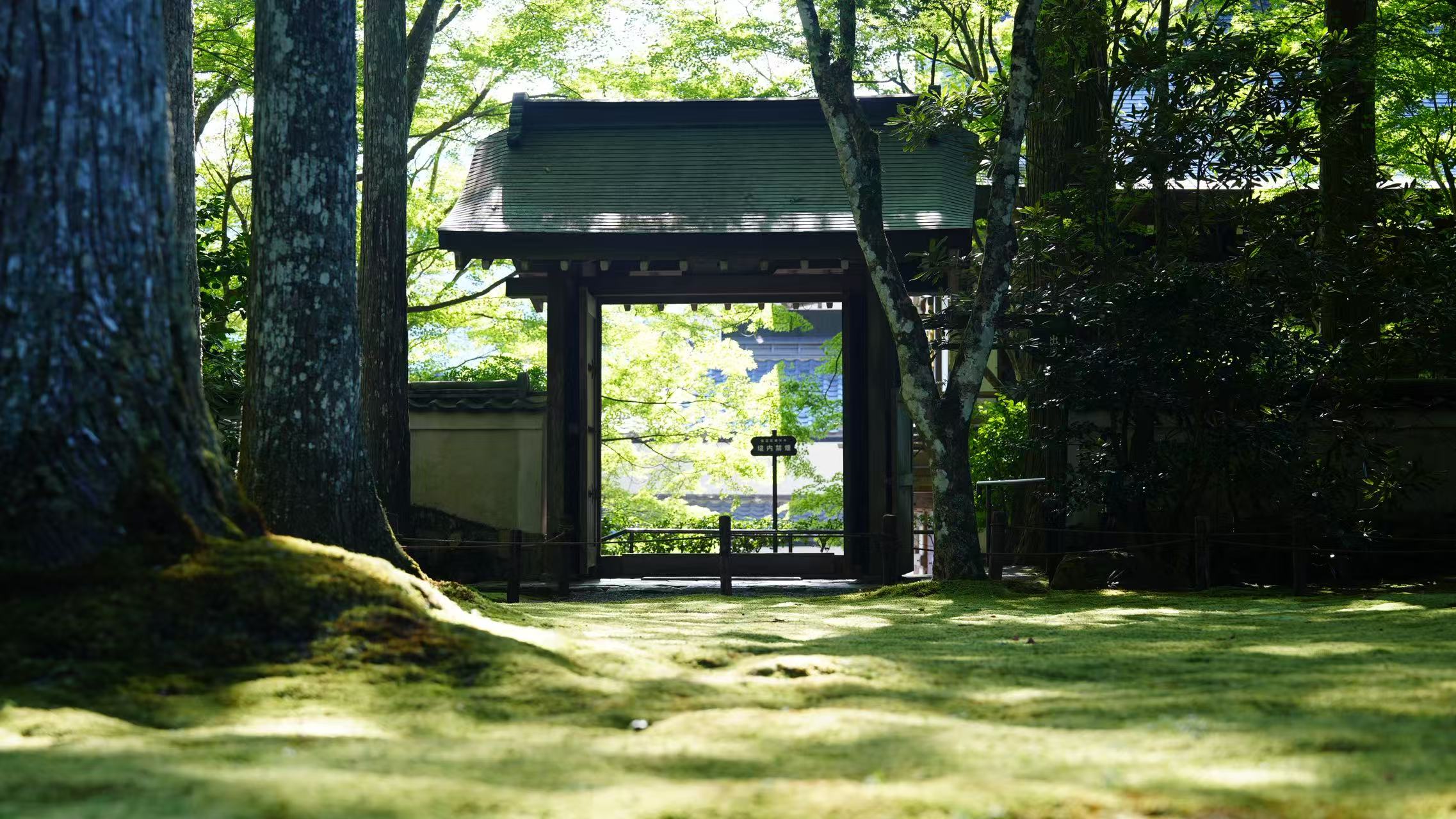 Kifune Shrine, hidden deep in Mt. Kurama, is a "holy place of energy" for Kyoto residents. The summer-only kawadoka cuisine is a great place to escape the heat.