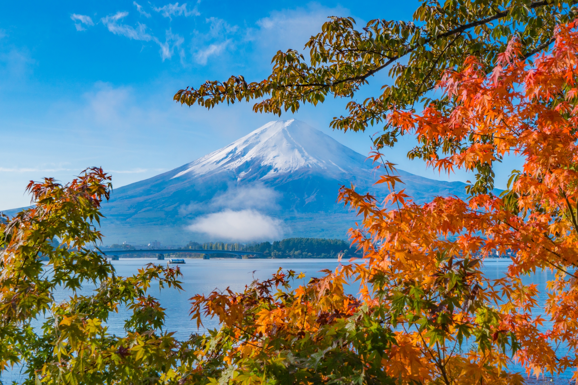 富士山一日遊（含午餐選擇）- 東京出發