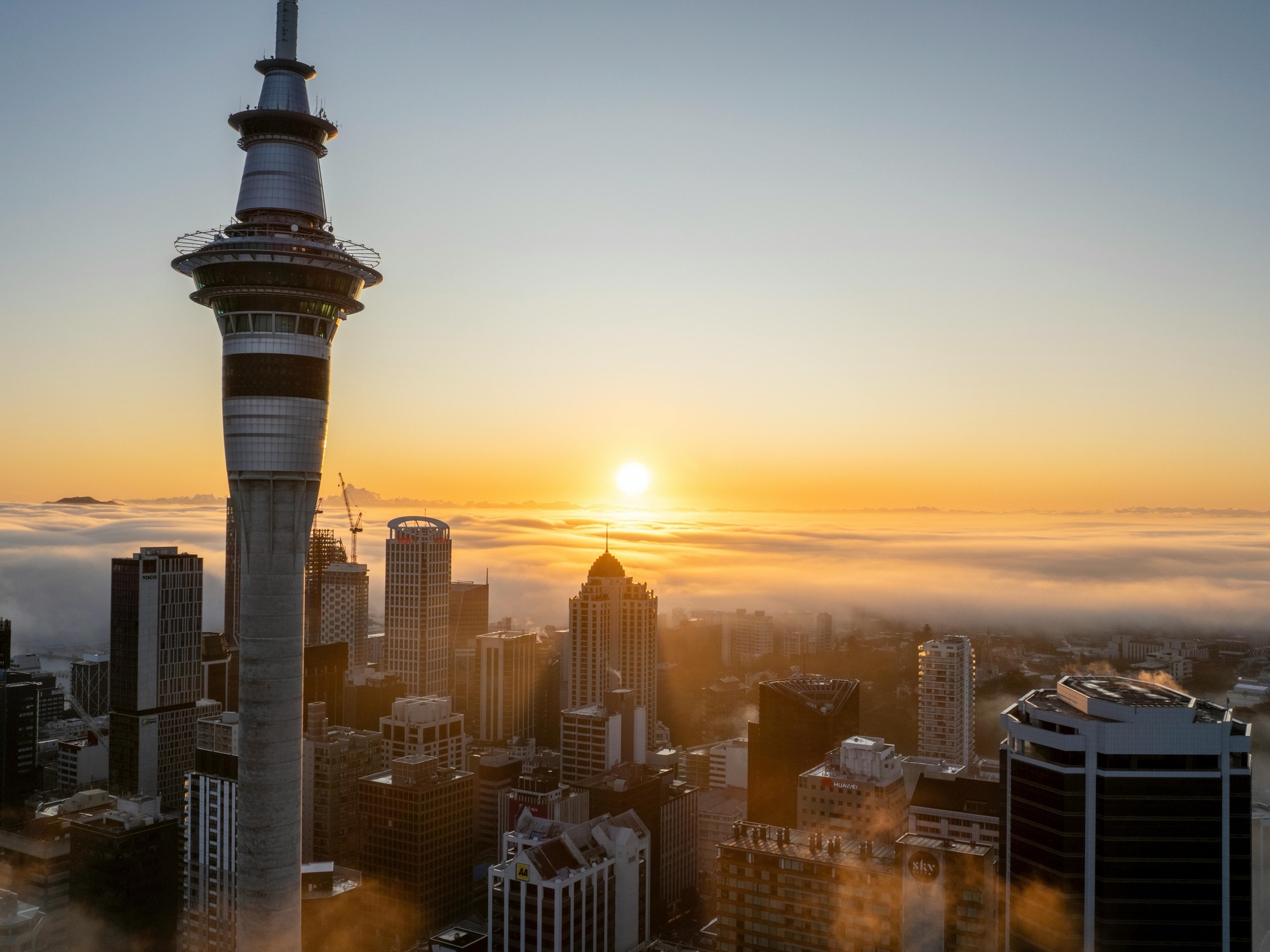 Auckland Half Day Tour Through Urban Wonders