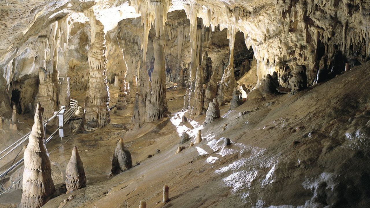 Toirano Toirano Cave Half-Day Small Group Walking Tour