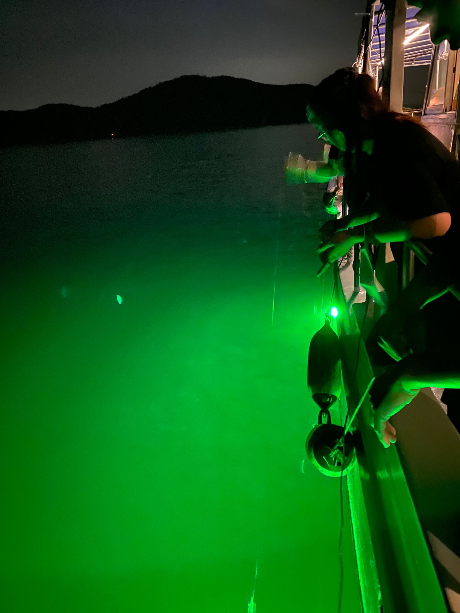 維港夜釣墨魚體驗