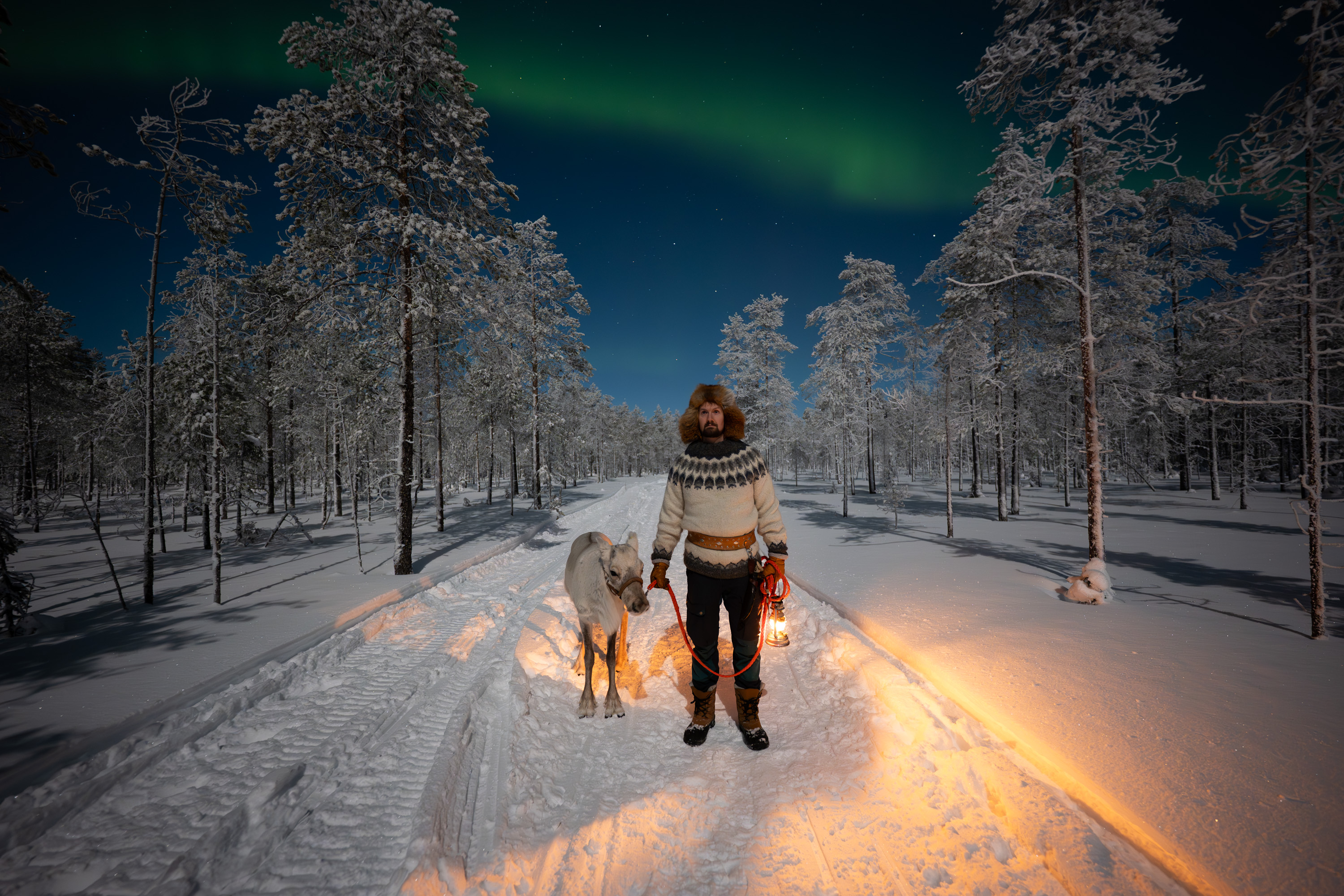 Reindeer Walk under Northern Lights and Full Moon