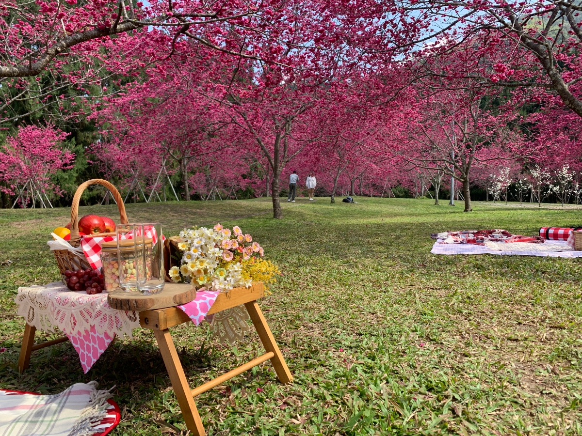 九族文化村門票