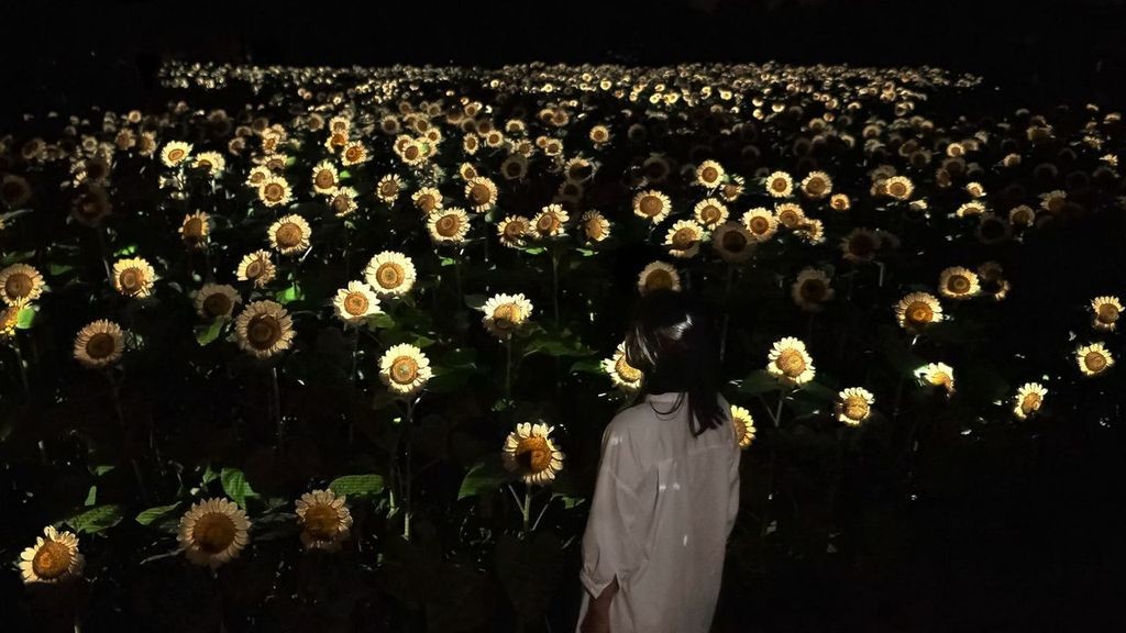 夜間點燈藝術空間