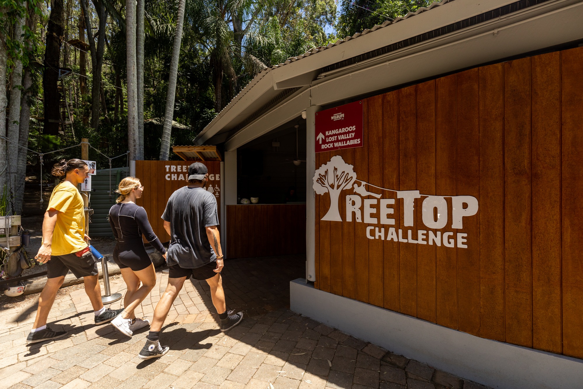 TreeTop Challenge at Currumbin Wildlife Sanctuary 