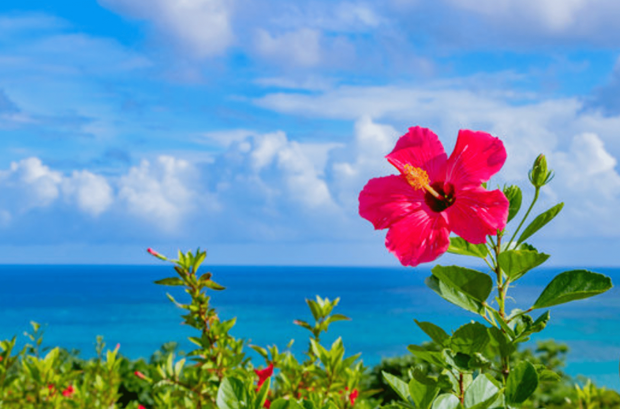 Okinawa Private Custom Tour with Local Guide