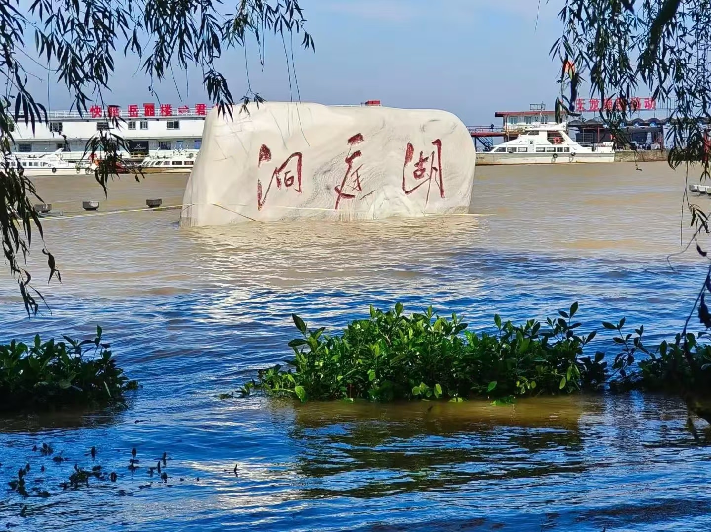 洞庭湖是知名的魚米之鄉,物產極為豐富。主要經濟魚類有鯉、草、鮊、鱭、青魚等,銀魚是它的名產,貝類資源也很豐富,達40餘種 洞庭湖是知名的魚米之鄉,物產極為豐富。主要經濟魚類有鯉、草、鮊、鱭、青魚等,銀魚是它的名產,貝類資源也很豐富,達40餘種