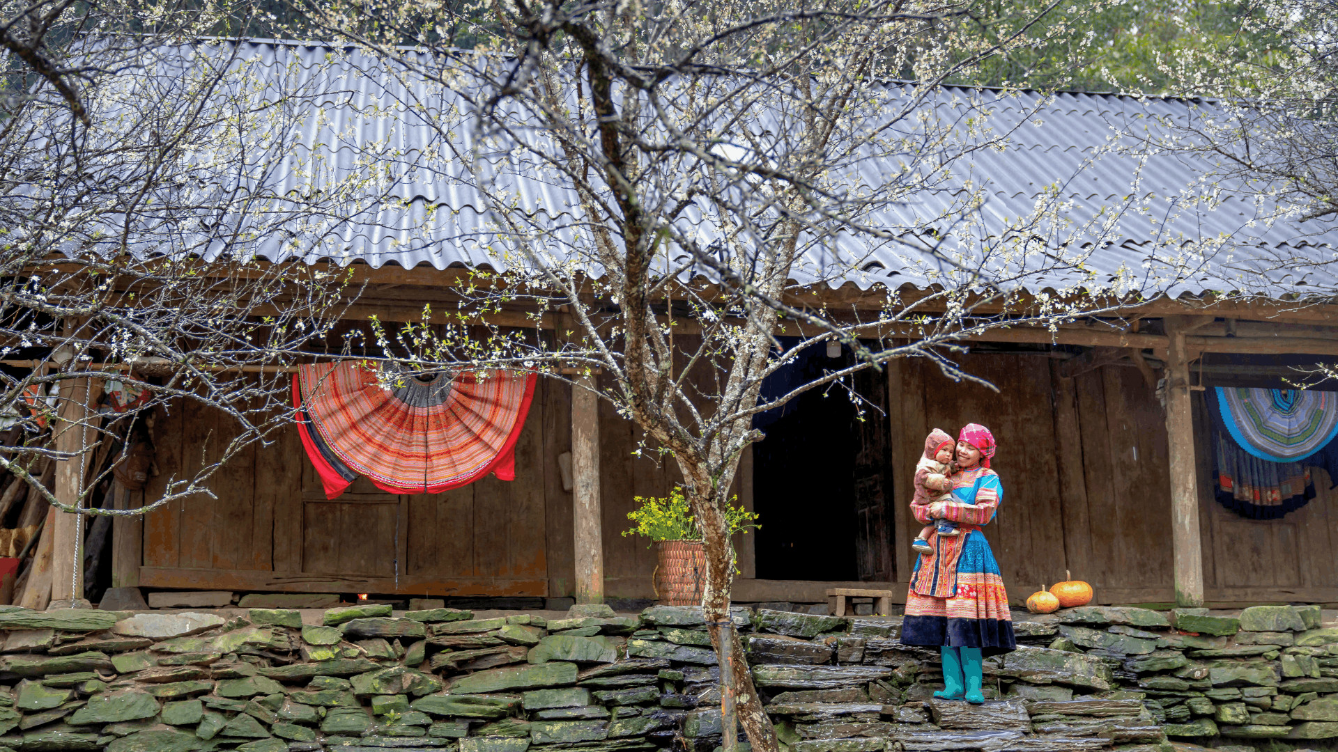 走訪沙壩山區的傳統民族家園，體驗當地居民的日常生活。