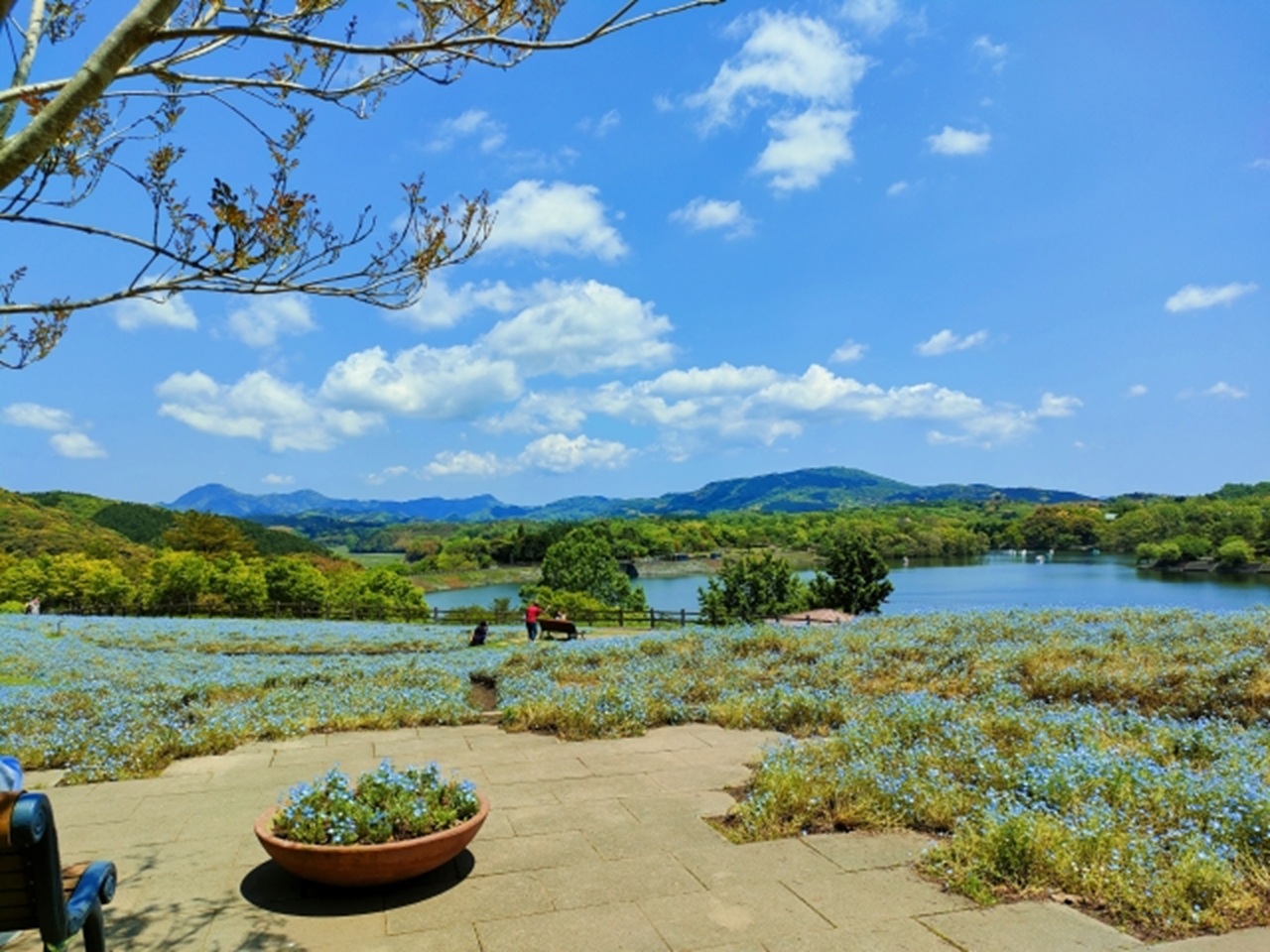 博多出發一日遊：河內藤園 & 小倉城