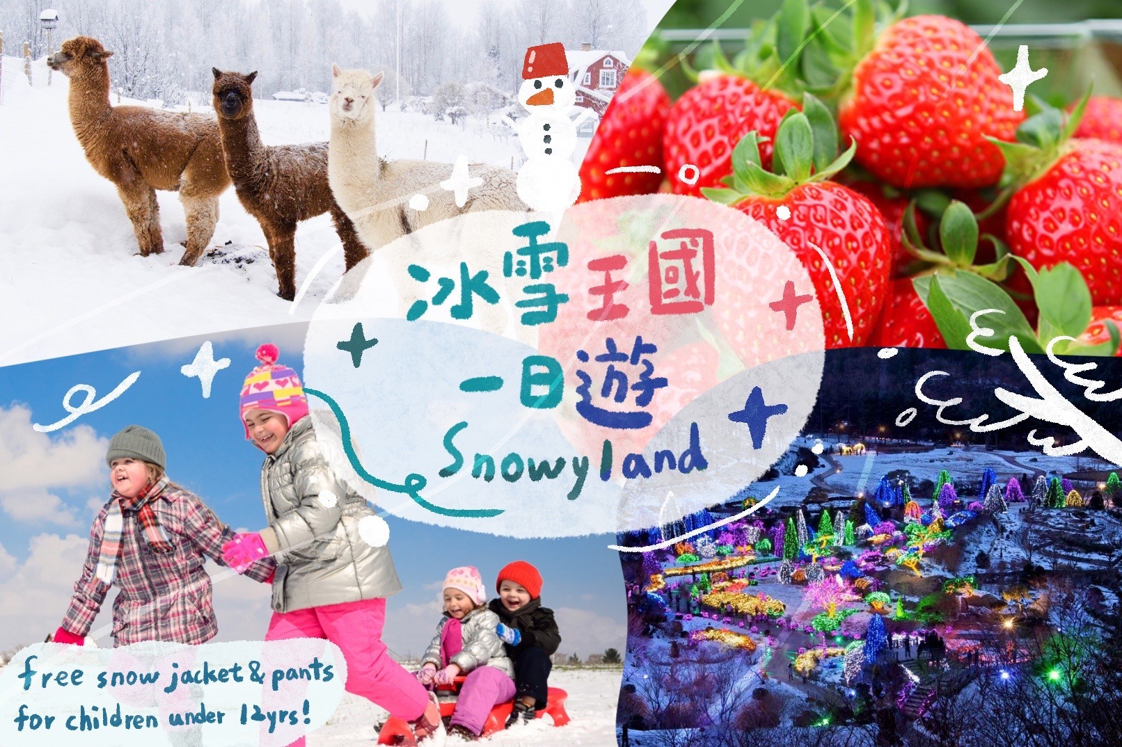 Vivaldi Snowyland & Nami & Alpaca & Strawberry Day Tour from Seoul