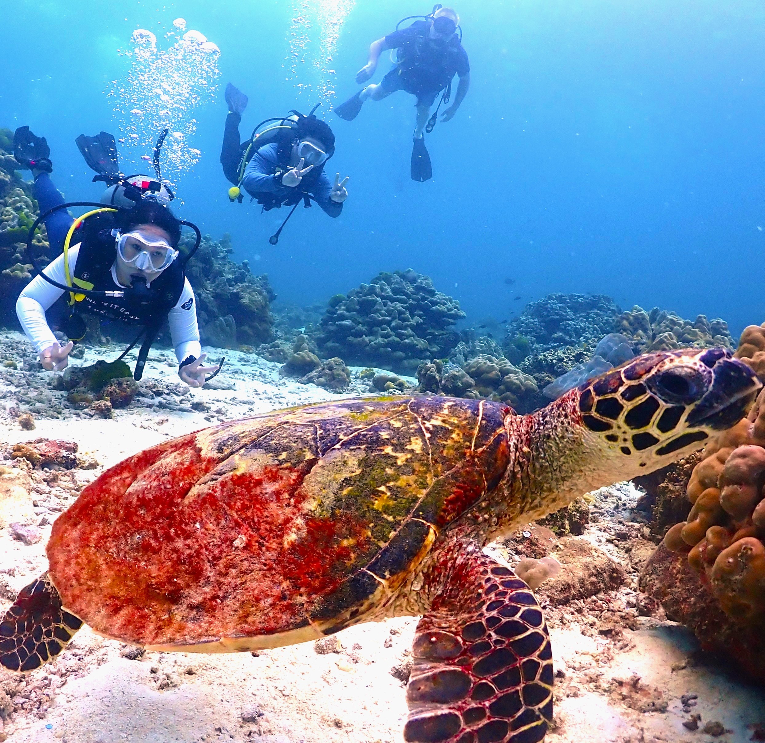 Phuket Dive Trip Racha Island(s) For All-level in Phuket