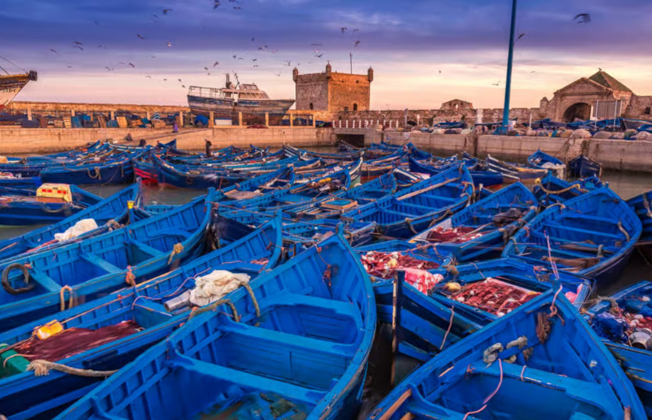 Marrakech Essaouira Medina Full-Day Private Tour