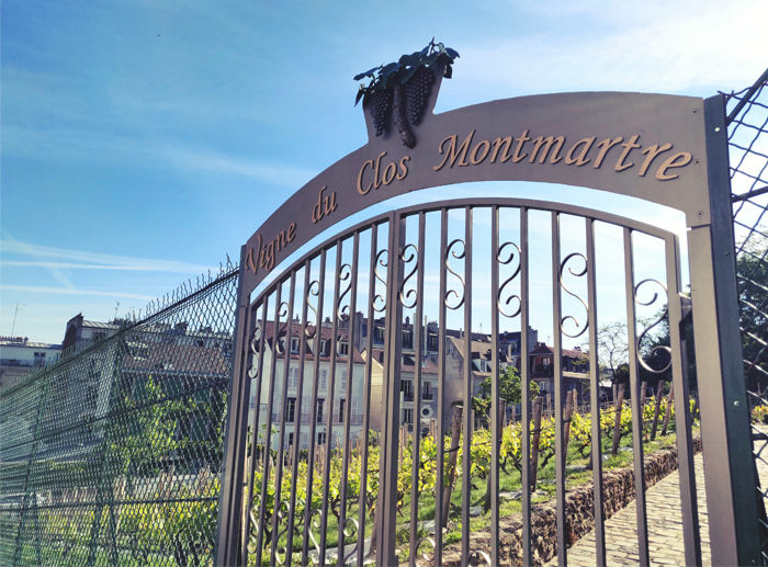 蒙馬特葡萄園 (Vigne du Clos Montmartre)