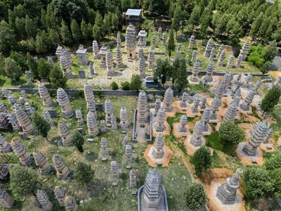 塔林位於少林寺西約 300 米的山腳下，是少林寺歷代高僧的墓地，也是亞洲規模最大的塔林