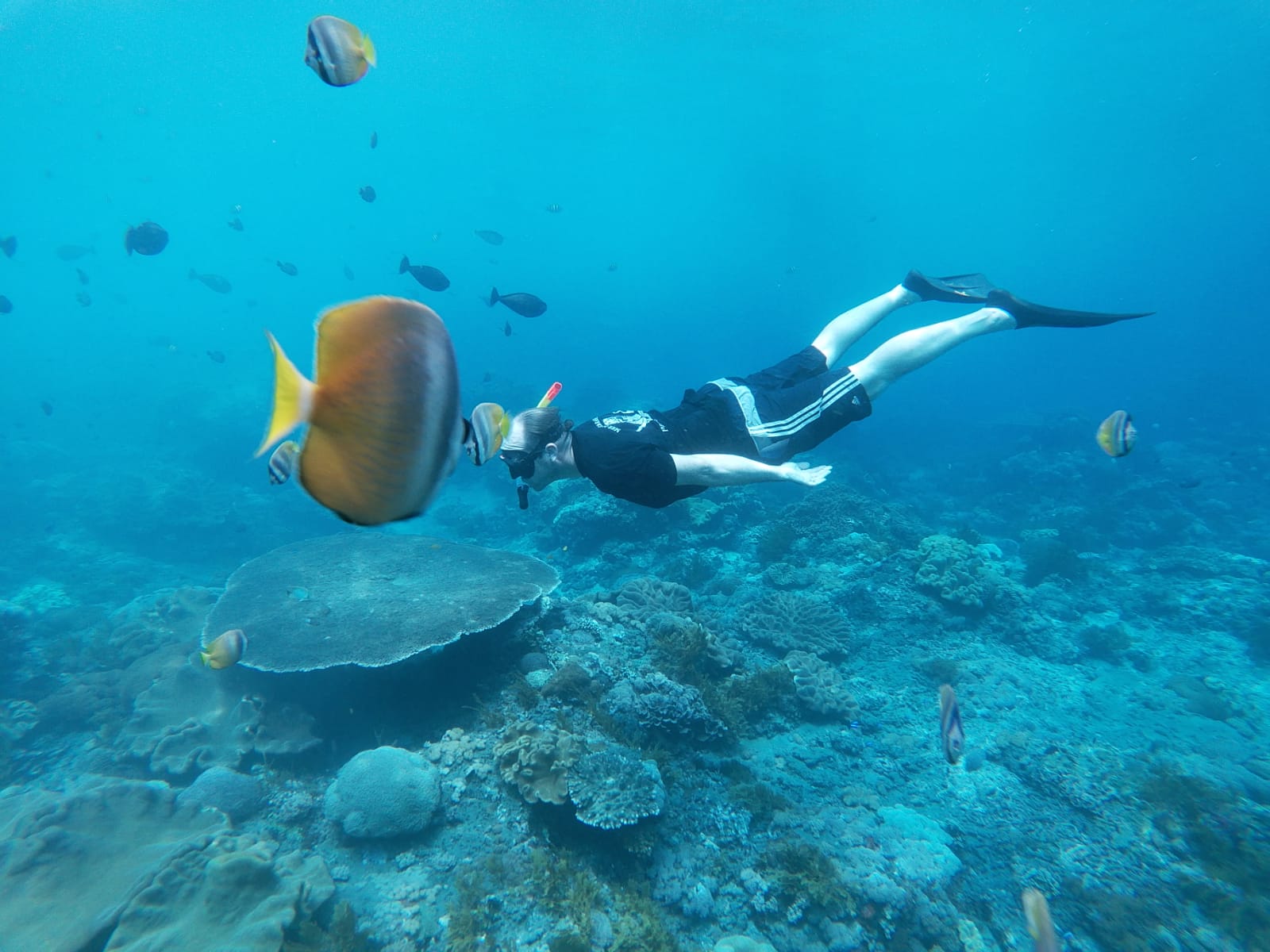 珀達尼島浮潛體驗