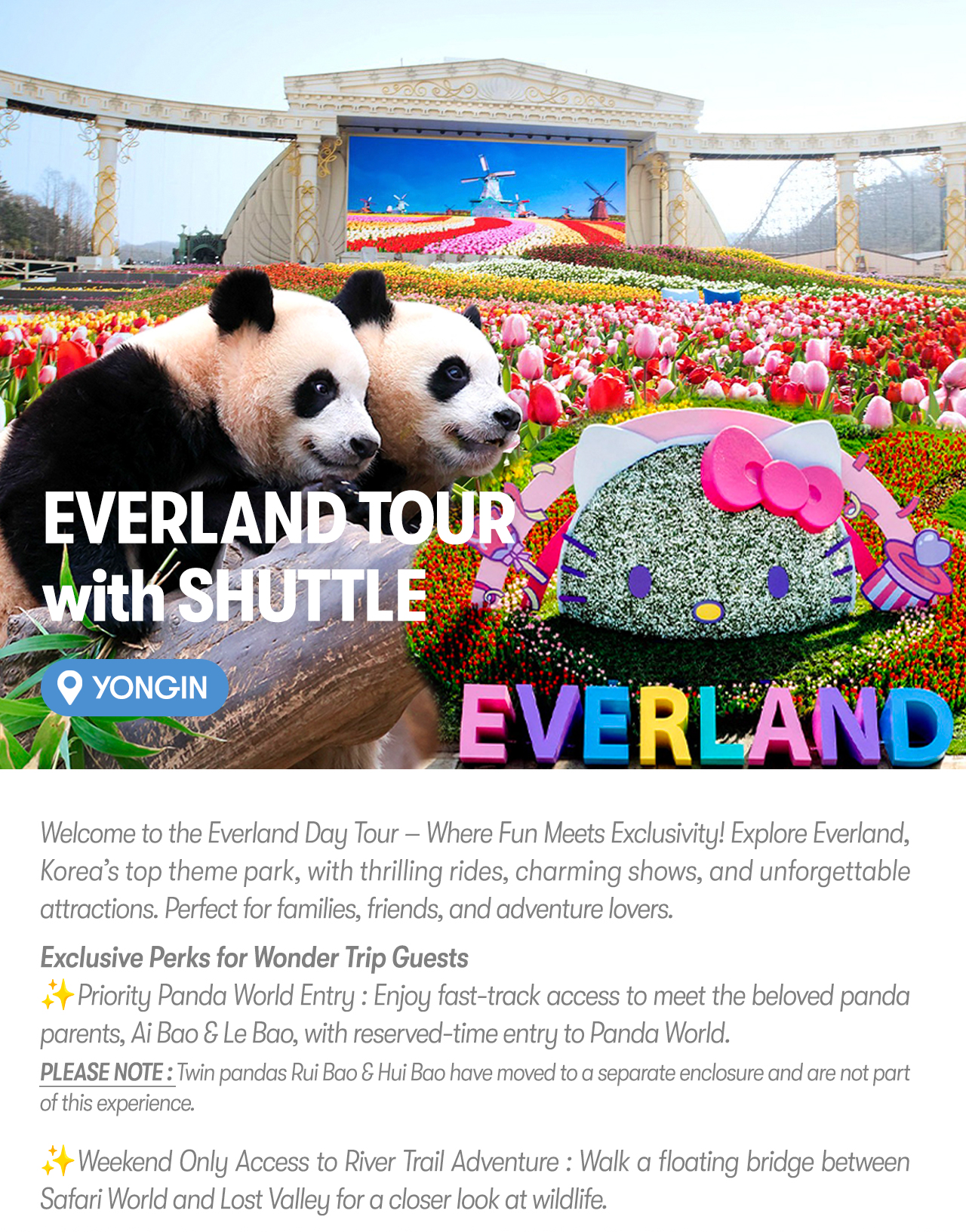 Everland Day Tour: Priority Entry (Till 31/5) + Optional Meal Coupon