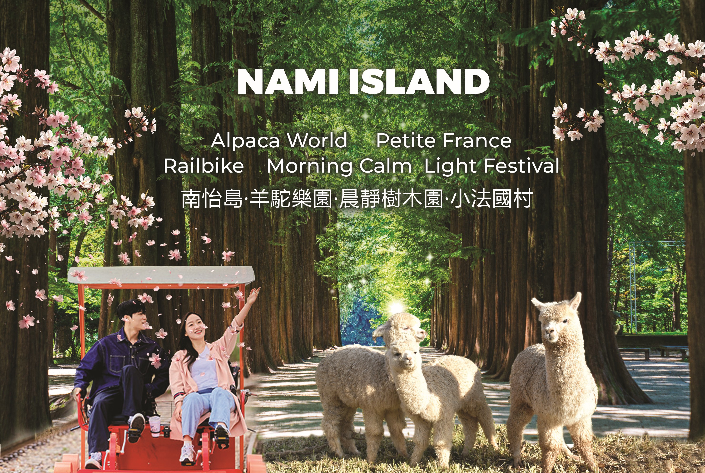 南怡島 (Nami Island) & 伊甸園冰雪世界 (Eobi Ice Valley) & 全景場 (Panorama Field) &  晨靜樹木園 (Morning Calm) 旅遊
