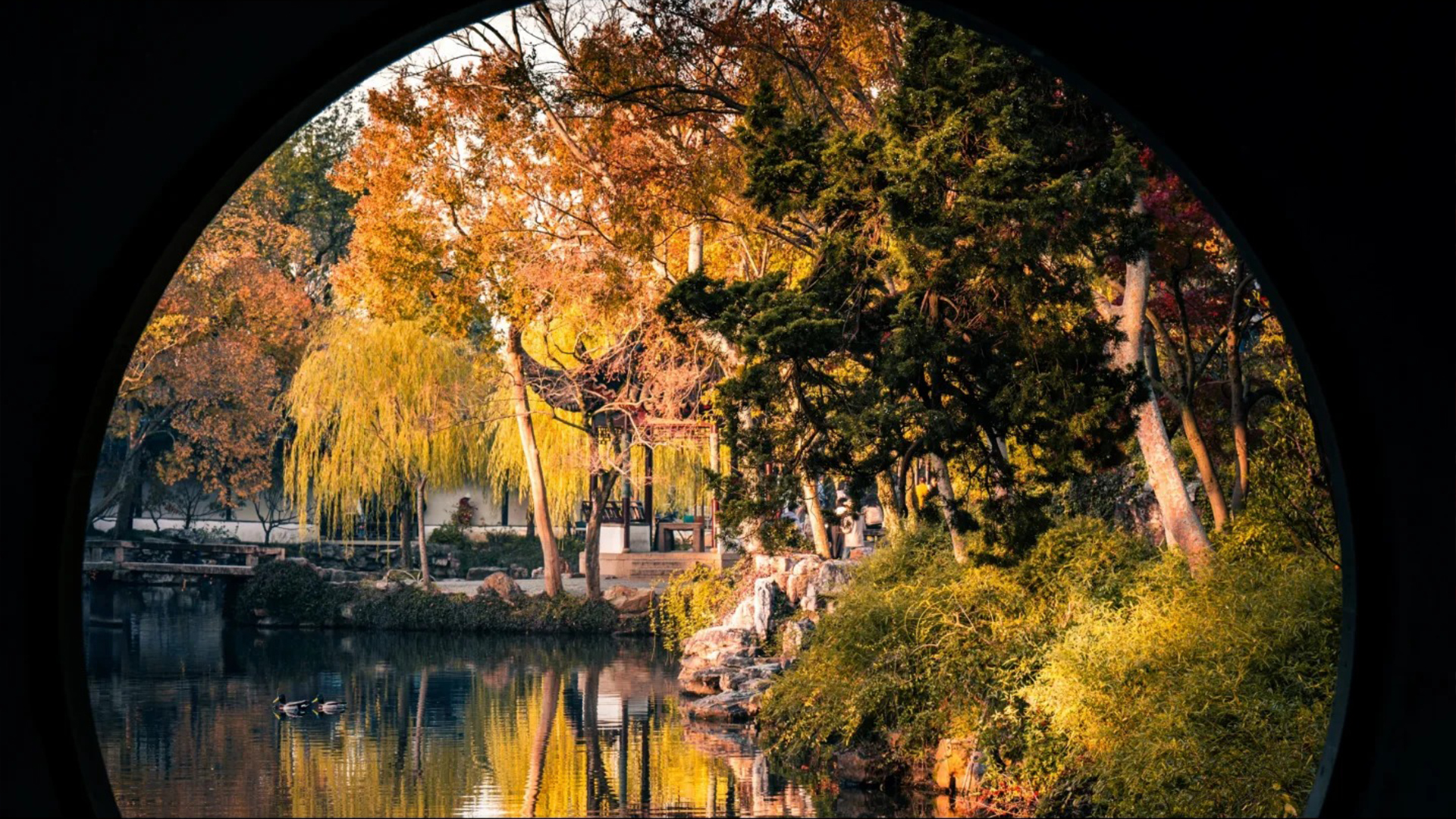 蘇州深度純玩2日遊 （拙政園+周莊古鎮+寒山寺+楓橋+蘇州博物館+ 精選高檔酒店+繽紛景點+嚴選專職導遊）